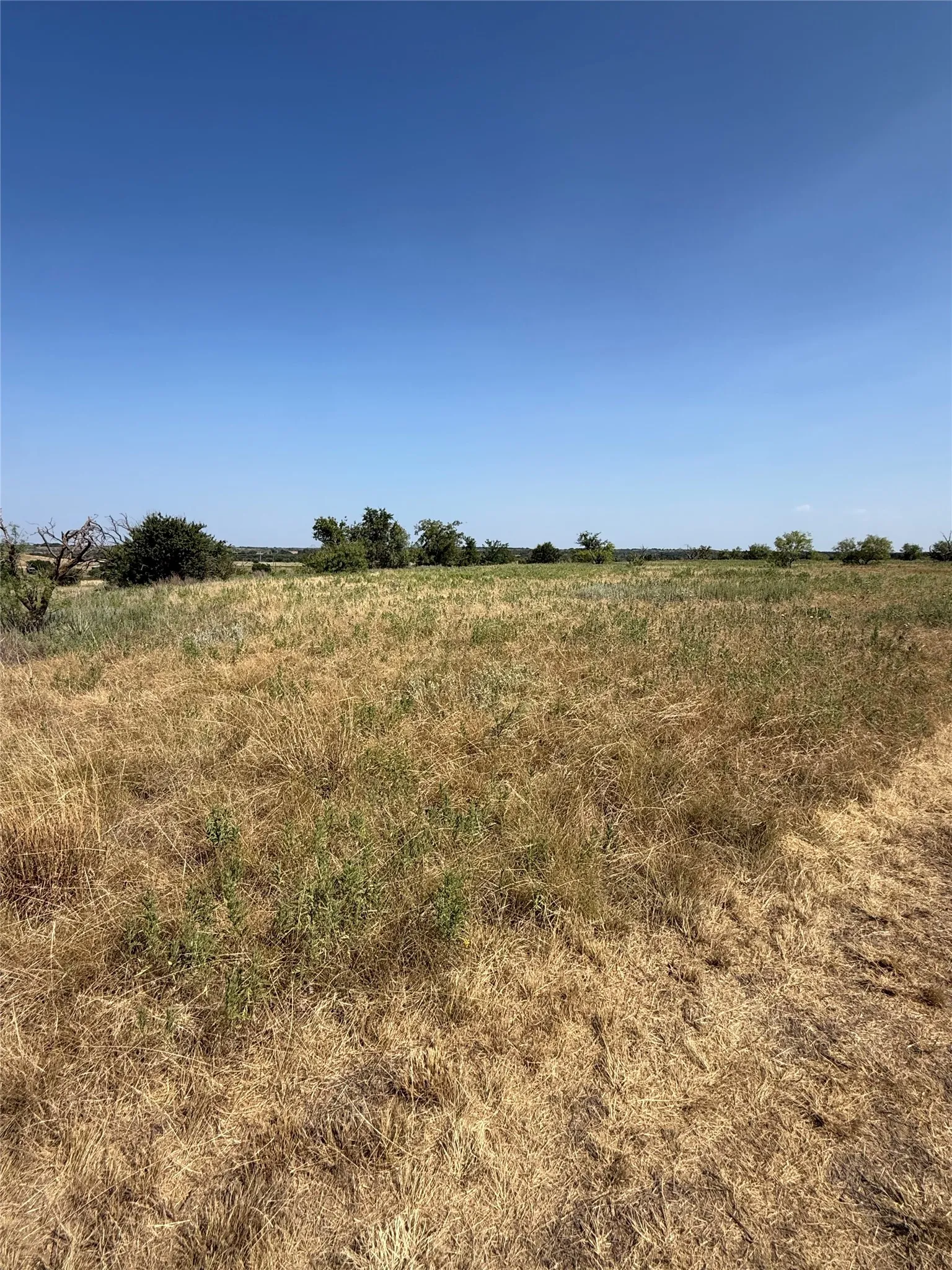 Improved Land For Sale in Young County , TBD Turtle Hole Road, Graham, Texas 76450, 0, 0, Garage spaces, 0 Sqft, built in 0, Price $380,000, mls#21349118, Real Estate Agent in Graham, Homes For Sale in Young county, Homes For Sale in Graham, Realtor in Graham Texas, Real Estate Brokerage Independent Realty Texas, Luminita Cordes Realtor