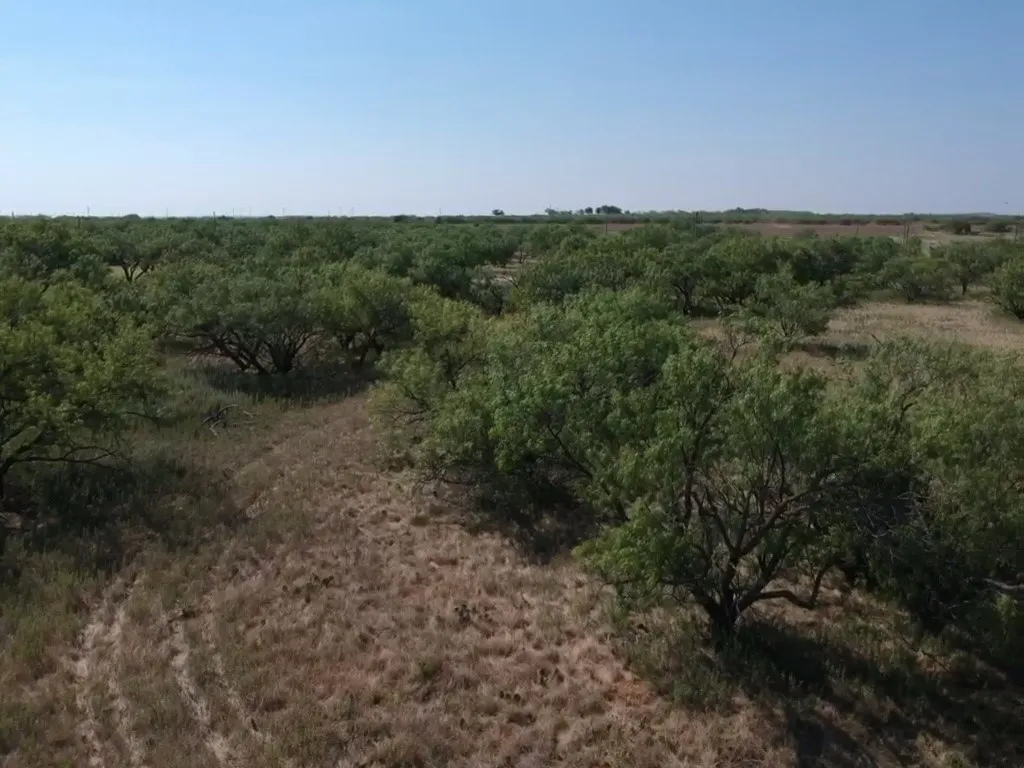 Improved Land For Sale in Young County , TBD Turtle Hole Road, Graham, Texas 76450, 0, 0, Garage spaces, 0 Sqft, built in 0, Price $380,000, mls#21349118, Real Estate Agent in Graham, Homes For Sale in Young county, Homes For Sale in Graham, Realtor in Graham Texas, Real Estate Brokerage Independent Realty Texas, Luminita Cordes Realtor