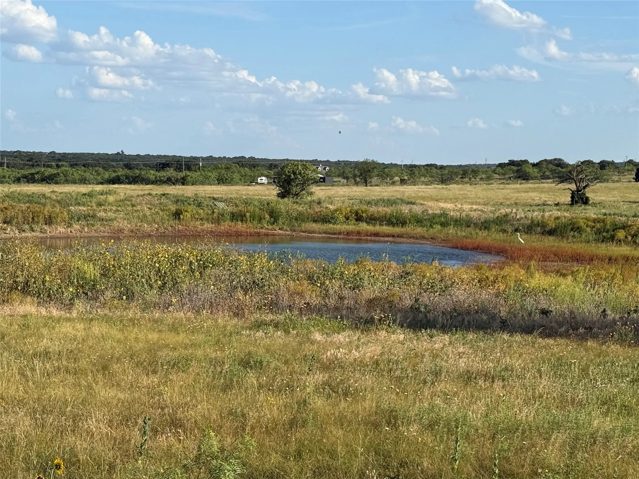 Improved Land For Sale in Young County , TBD Turtle Hole Road, Graham, Texas 76450, 0, 0, Garage spaces, 0 Sqft, built in 0, Price $380,000, mls#21349118, Real Estate Agent in Graham, Homes For Sale in Young county, Homes For Sale in Graham, Realtor in Graham Texas, Real Estate Brokerage Independent Realty Texas, Luminita Cordes Realtor