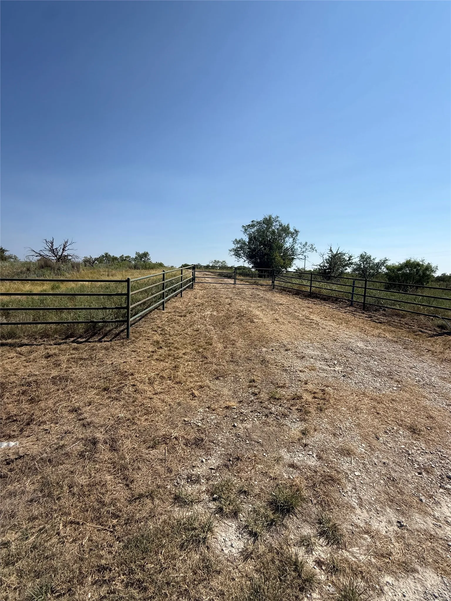 Improved Land For Sale in Young County , TBD Turtle Hole Road, Graham, Texas 76450, 0, 0, Garage spaces, 0 Sqft, built in 0, Price $380,000, mls#21349118, Real Estate Agent in Graham, Homes For Sale in Young county, Homes For Sale in Graham, Realtor in Graham Texas, Real Estate Brokerage Independent Realty Texas, Luminita Cordes Realtor