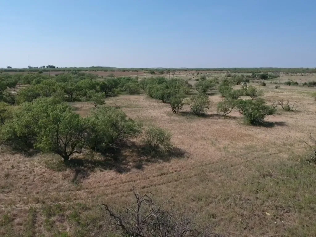 Improved Land For Sale in Young County , TBD Turtle Hole Road, Graham, Texas 76450, 0, 0, Garage spaces, 0 Sqft, built in 0, Price $380,000, mls#21349118, Real Estate Agent in Graham, Homes For Sale in Young county, Homes For Sale in Graham, Realtor in Graham Texas, Real Estate Brokerage Independent Realty Texas, Luminita Cordes Realtor