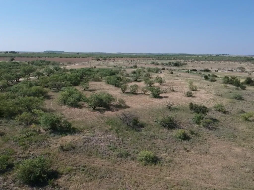 Improved Land For Sale in Young County , TBD Turtle Hole Road, Graham, Texas 76450, 0, 0, Garage spaces, 0 Sqft, built in 0, Price $380,000, mls#21349118, Real Estate Agent in Graham, Homes For Sale in Young county, Homes For Sale in Graham, Realtor in Graham Texas, Real Estate Brokerage Independent Realty Texas, Luminita Cordes Realtor