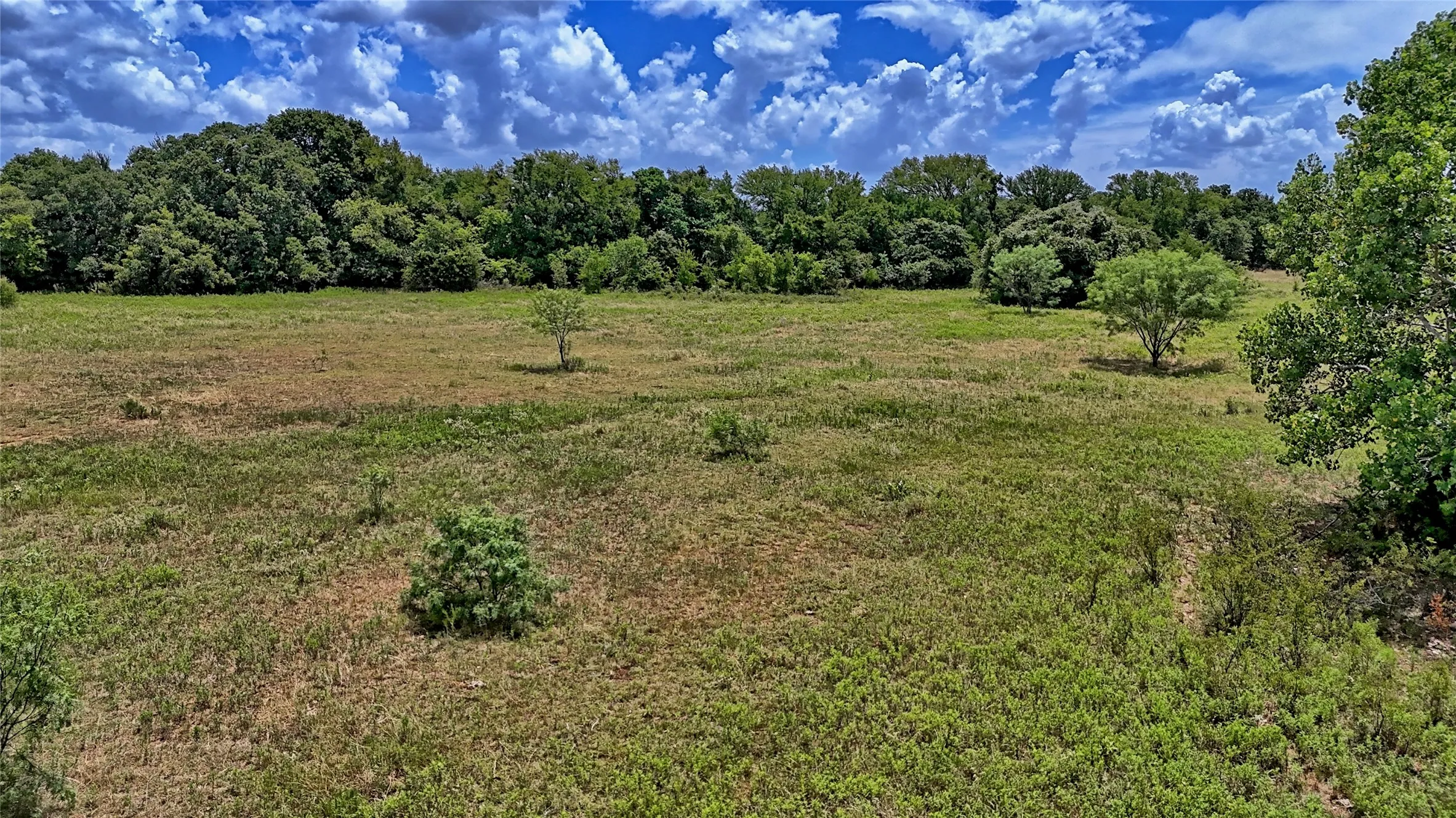 Unimproved Land For Sale in Wise County , 1179 County Road 1470, Chico, Texas 76431, 0, 0, Garage spaces, 0 Sqft, built in 0, Price $748,000, mls#21349031, Real Estate Agent in Chico, Homes For Sale in Wise county, Homes For Sale in Chico, Realtor in Chico Texas, Real Estate Brokerage Independent Realty Texas, Luminita Cordes Realtor