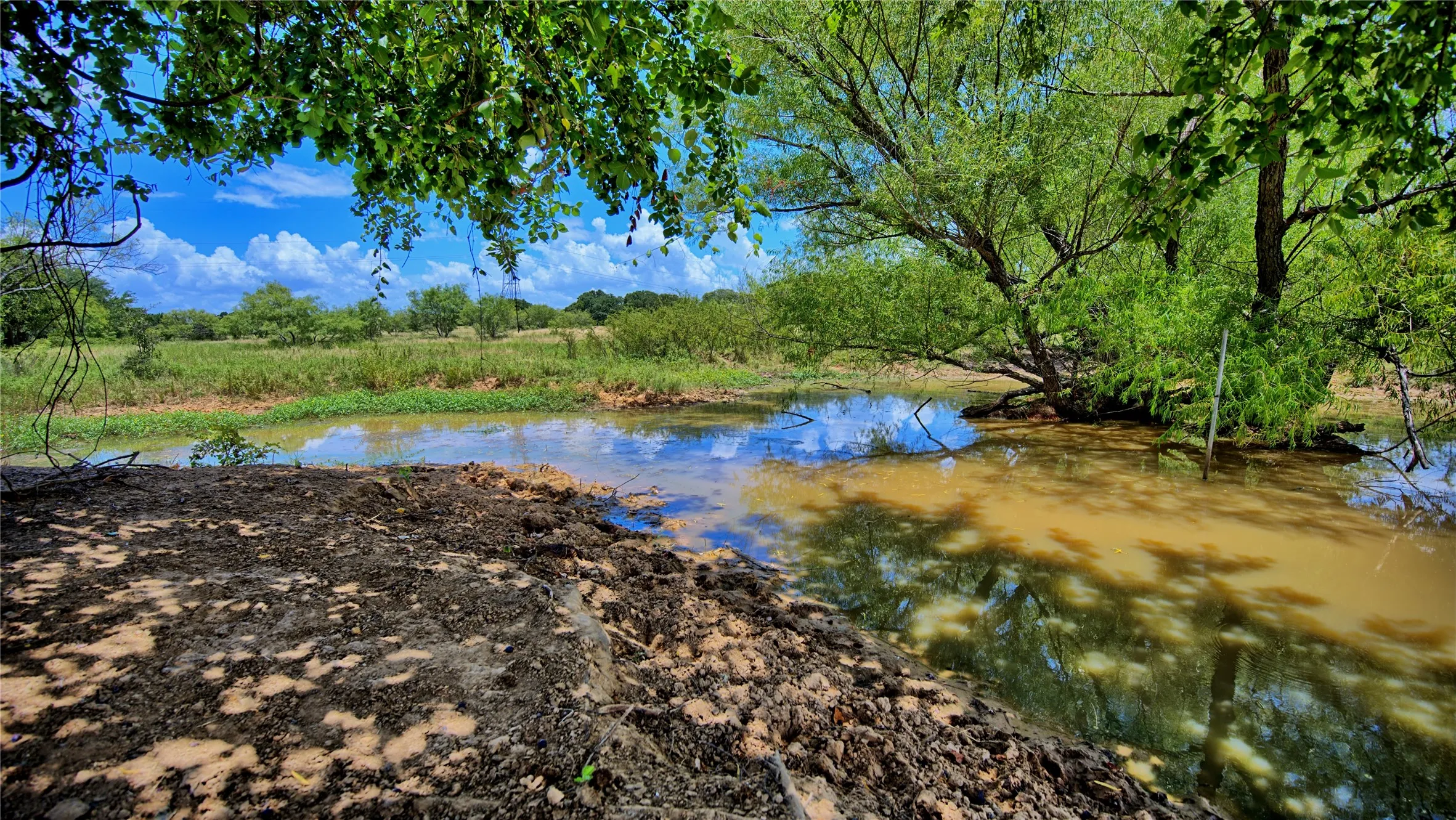 Unimproved Land For Sale in Wise County , 1179 County Road 1470, Chico, Texas 76431, 0, 0, Garage spaces, 0 Sqft, built in 0, Price $748,000, mls#21349031, Real Estate Agent in Chico, Homes For Sale in Wise county, Homes For Sale in Chico, Realtor in Chico Texas, Real Estate Brokerage Independent Realty Texas, Luminita Cordes Realtor