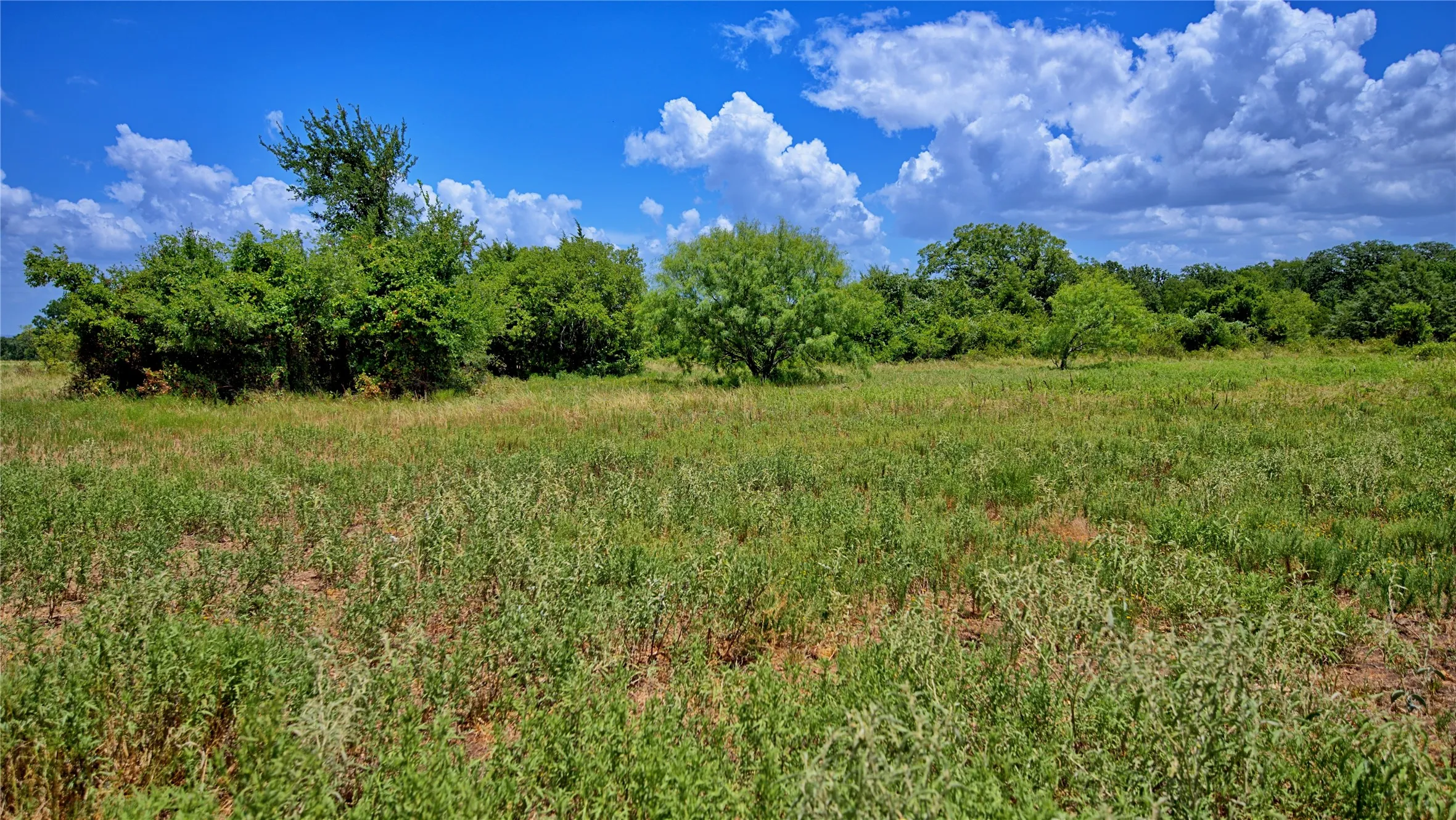 Unimproved Land For Sale in Wise County , 1179 County Road 1470, Chico, Texas 76431, 0, 0, Garage spaces, 0 Sqft, built in 0, Price $748,000, mls#21349031, Real Estate Agent in Chico, Homes For Sale in Wise county, Homes For Sale in Chico, Realtor in Chico Texas, Real Estate Brokerage Independent Realty Texas, Luminita Cordes Realtor