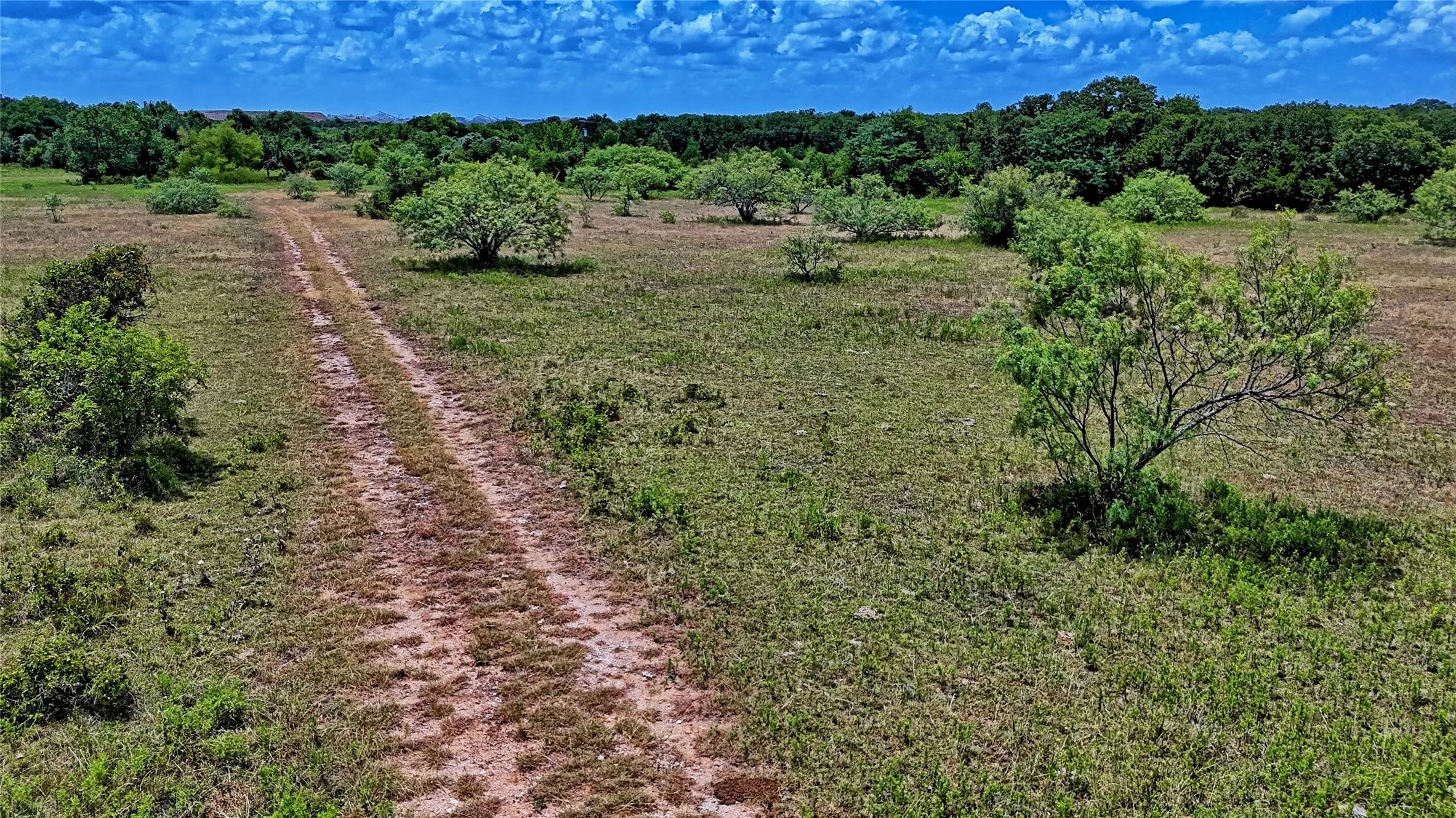 Unimproved Land For Sale in Wise County , 1179 County Road 1470, Chico, Texas 76431, 0, 0, Garage spaces, 0 Sqft, built in 0, Price $748,000, mls#21349031, Real Estate Agent in Chico, Homes For Sale in Wise county, Homes For Sale in Chico, Realtor in Chico Texas, Real Estate Brokerage Independent Realty Texas, Luminita Cordes Realtor