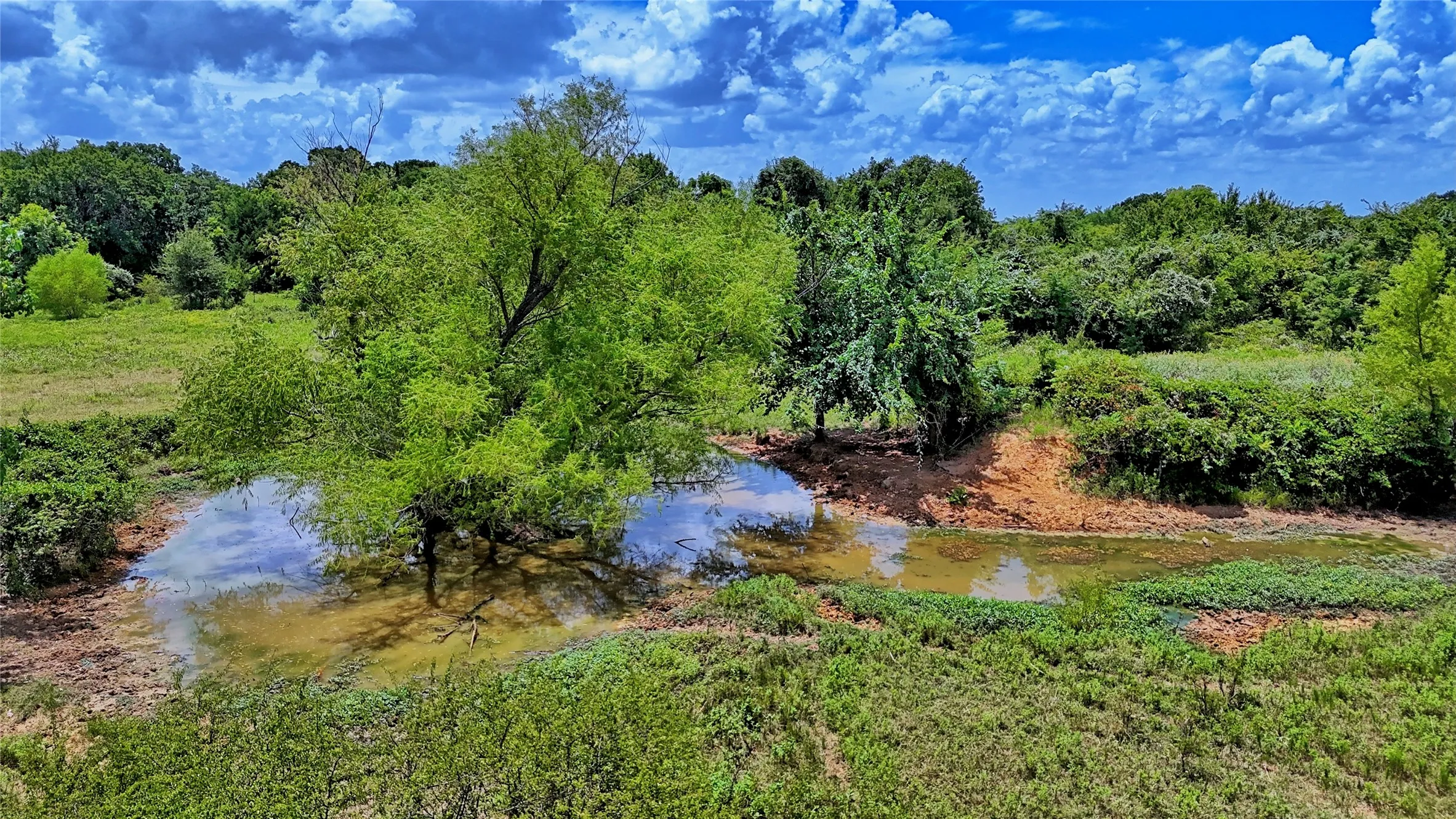 Unimproved Land For Sale in Wise County , 1179 County Road 1470, Chico, Texas 76431, 0, 0, Garage spaces, 0 Sqft, built in 0, Price $748,000, mls#21349031, Real Estate Agent in Chico, Homes For Sale in Wise county, Homes For Sale in Chico, Realtor in Chico Texas, Real Estate Brokerage Independent Realty Texas, Luminita Cordes Realtor
