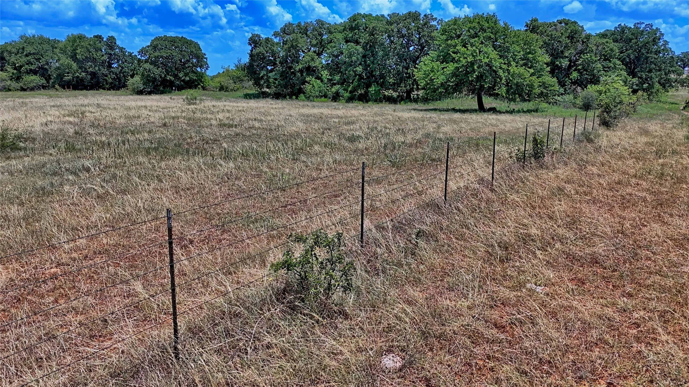 Unimproved Land For Sale in Wise County , 1179 County Road 1470, Chico, Texas 76431, 0, 0, Garage spaces, 0 Sqft, built in 0, Price $748,000, mls#21349031, Real Estate Agent in Chico, Homes For Sale in Wise county, Homes For Sale in Chico, Realtor in Chico Texas, Real Estate Brokerage Independent Realty Texas, Luminita Cordes Realtor