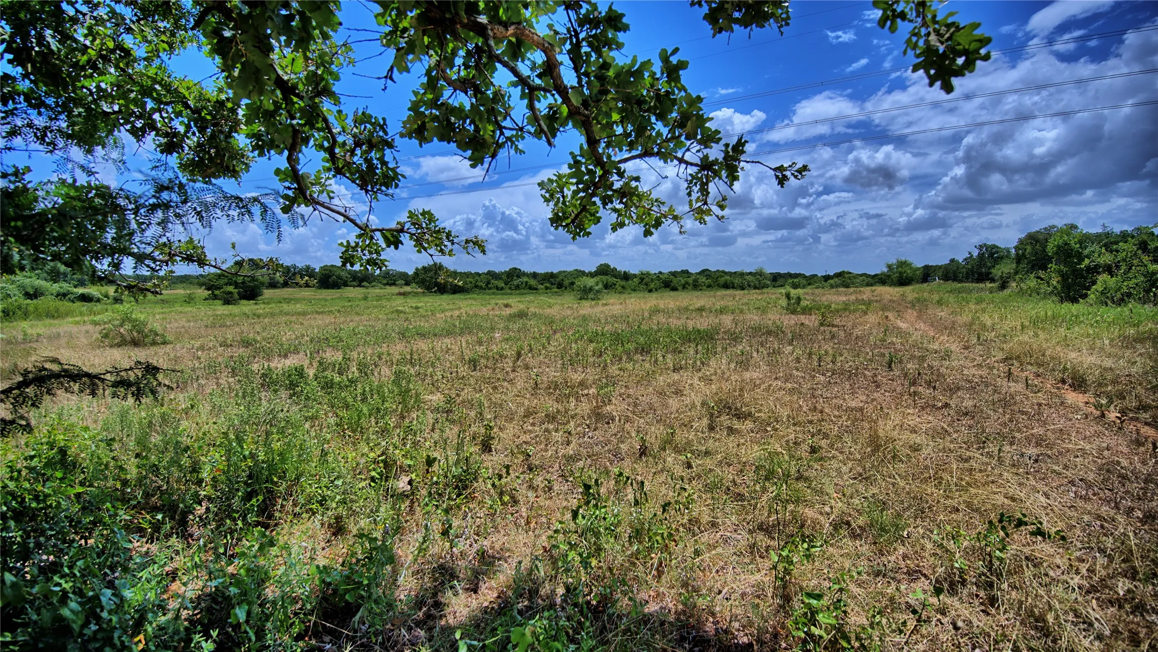 Unimproved Land For Sale in Wise County , 1179 County Road 1470, Chico, Texas 76431, 0, 0, Garage spaces, 0 Sqft, built in 0, Price $748,000, mls#21349031, Real Estate Agent in Chico, Homes For Sale in Wise county, Homes For Sale in Chico, Realtor in Chico Texas, Real Estate Brokerage Independent Realty Texas, Luminita Cordes Realtor