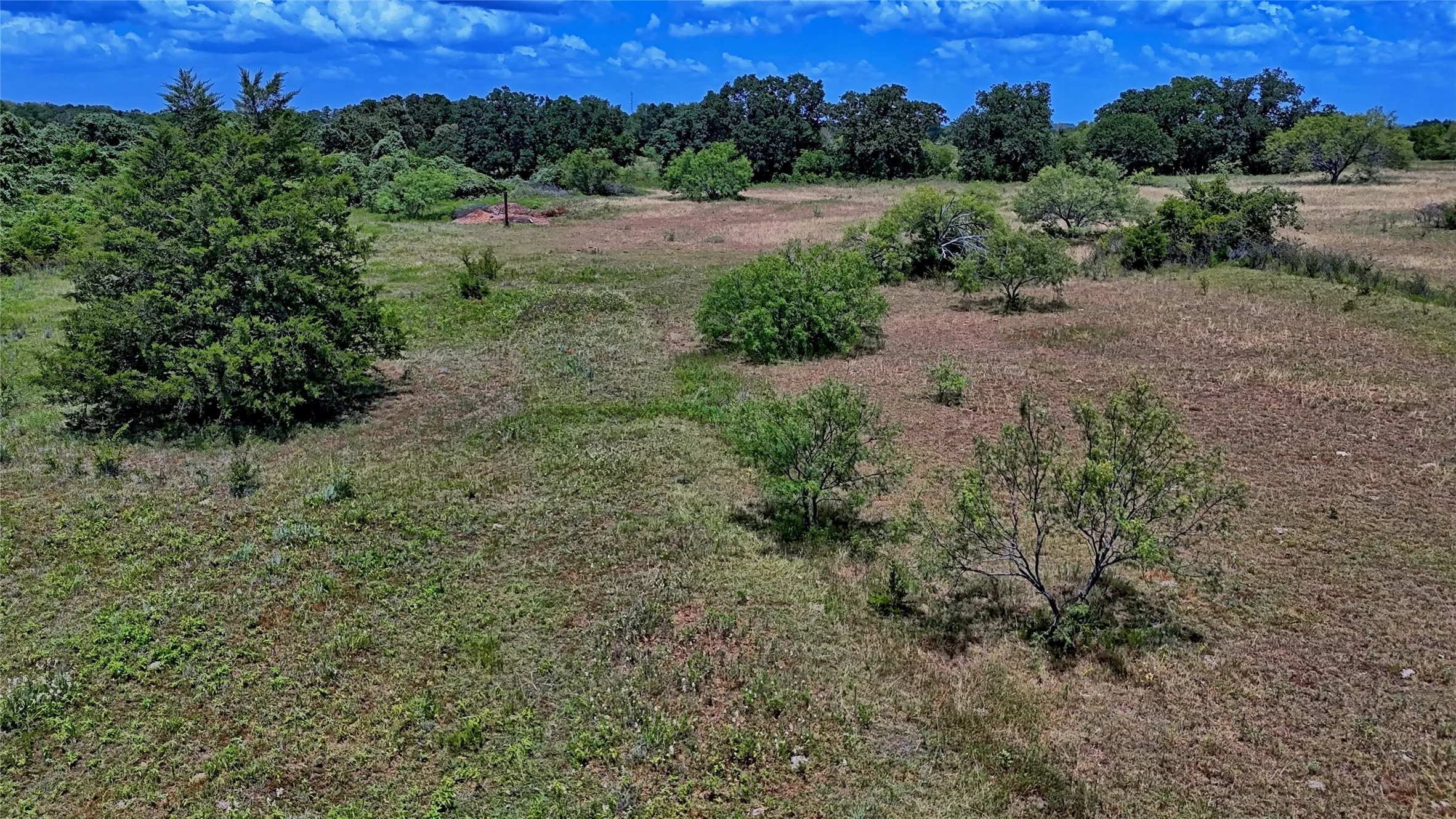 Unimproved Land For Sale in Wise County , 1179 County Road 1470, Chico, Texas 76431, 0, 0, Garage spaces, 0 Sqft, built in 0, Price $748,000, mls#21349031, Real Estate Agent in Chico, Homes For Sale in Wise county, Homes For Sale in Chico, Realtor in Chico Texas, Real Estate Brokerage Independent Realty Texas, Luminita Cordes Realtor