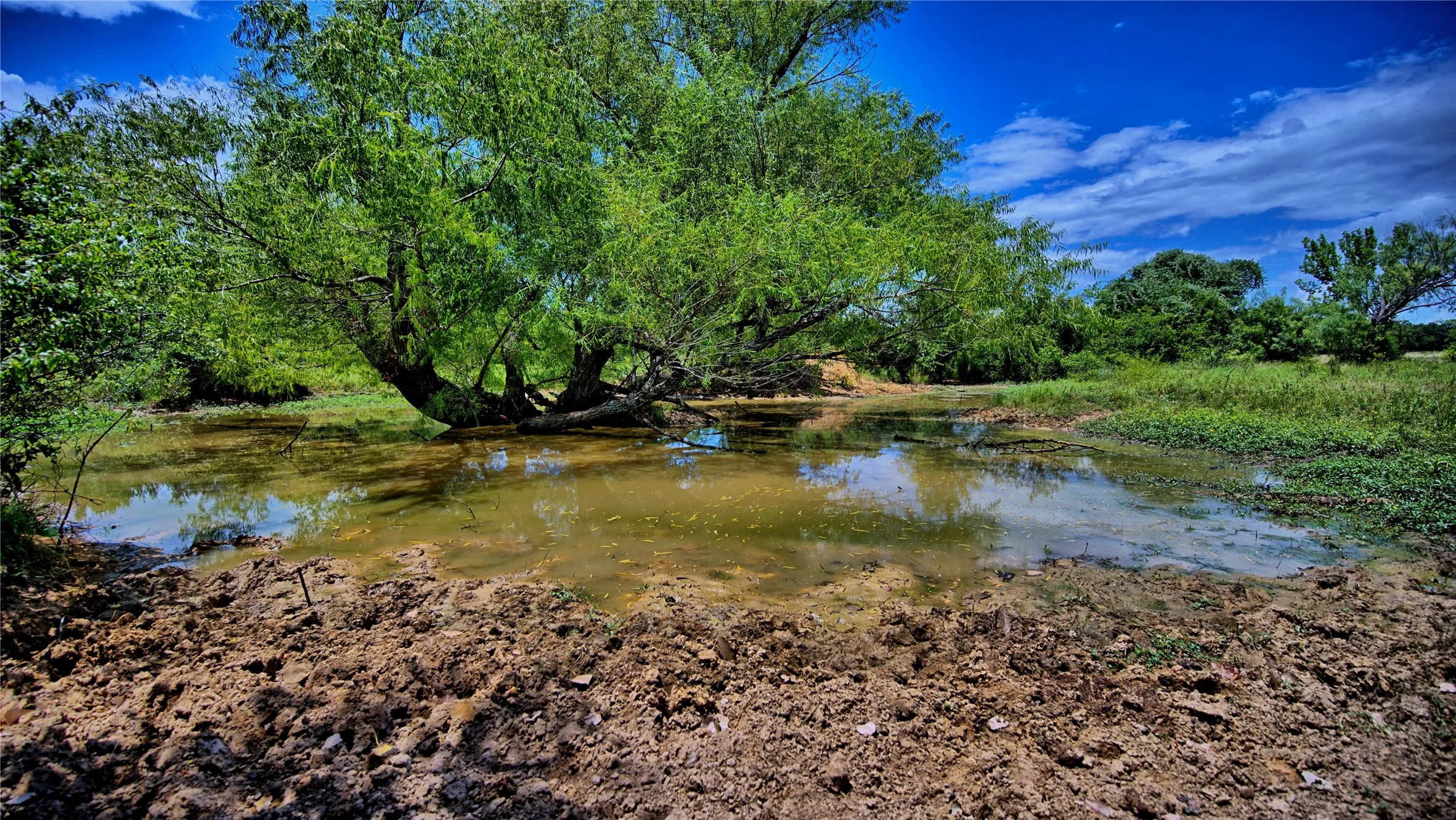 Unimproved Land For Sale in Wise County , 1179 County Road 1470, Chico, Texas 76431, 0, 0, Garage spaces, 0 Sqft, built in 0, Price $748,000, mls#21349031, Real Estate Agent in Chico, Homes For Sale in Wise county, Homes For Sale in Chico, Realtor in Chico Texas, Real Estate Brokerage Independent Realty Texas, Luminita Cordes Realtor