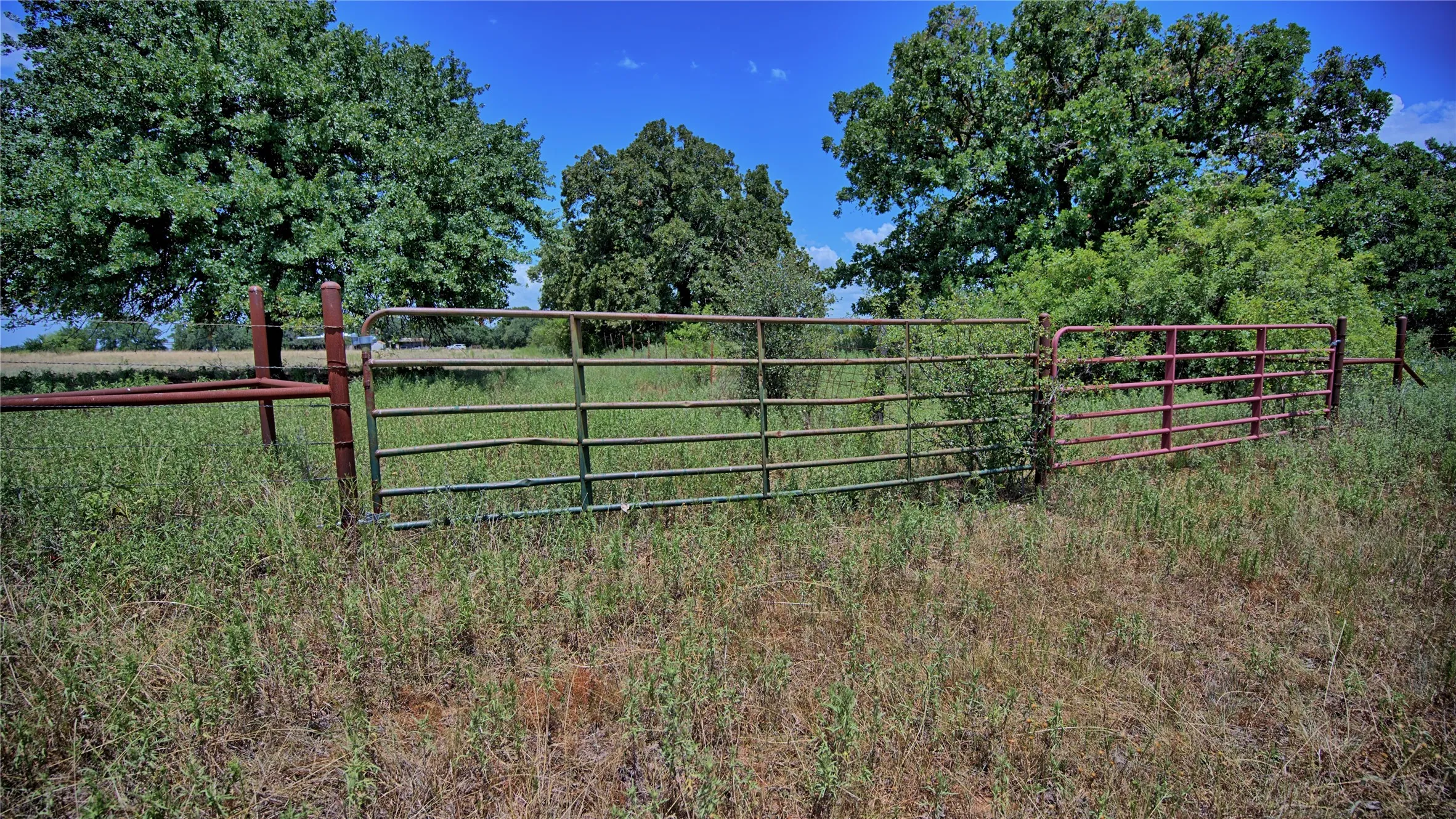 Unimproved Land For Sale in Wise County , 1179 County Road 1470, Chico, Texas 76431, 0, 0, Garage spaces, 0 Sqft, built in 0, Price $748,000, mls#21349031, Real Estate Agent in Chico, Homes For Sale in Wise county, Homes For Sale in Chico, Realtor in Chico Texas, Real Estate Brokerage Independent Realty Texas, Luminita Cordes Realtor