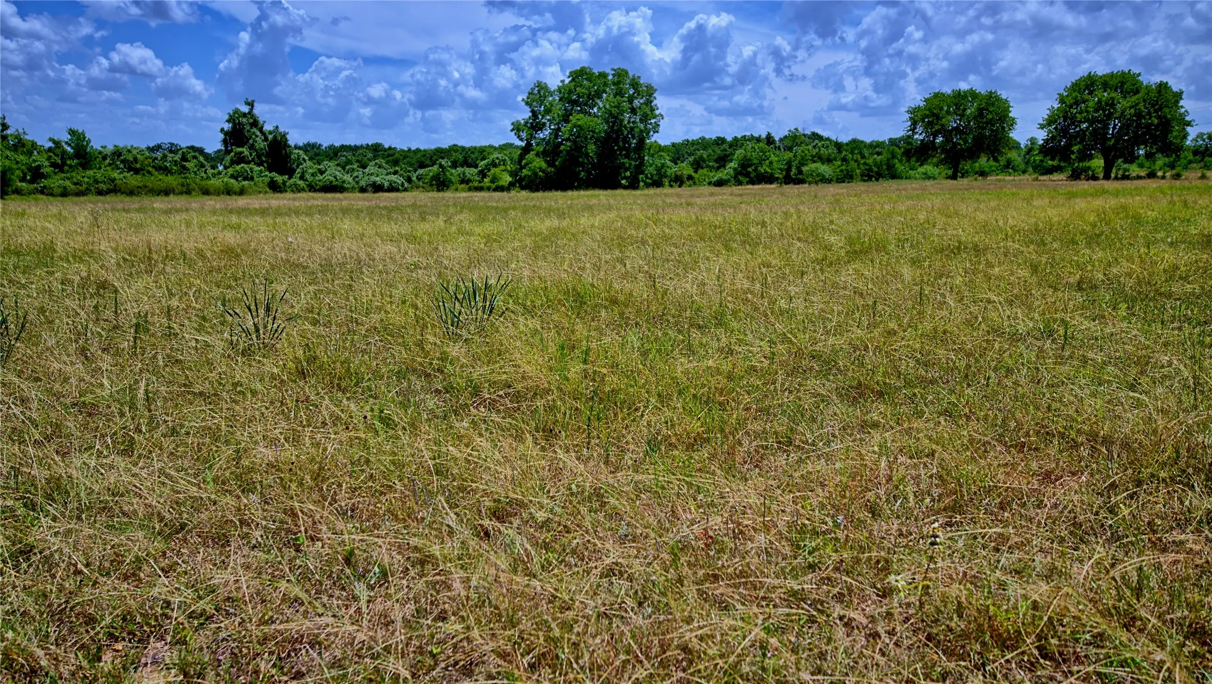 Unimproved Land For Sale in Wise County , 1179 County Road 1470, Chico, Texas 76431, 0, 0, Garage spaces, 0 Sqft, built in 0, Price $748,000, mls#21349031, Real Estate Agent in Chico, Homes For Sale in Wise county, Homes For Sale in Chico, Realtor in Chico Texas, Real Estate Brokerage Independent Realty Texas, Luminita Cordes Realtor