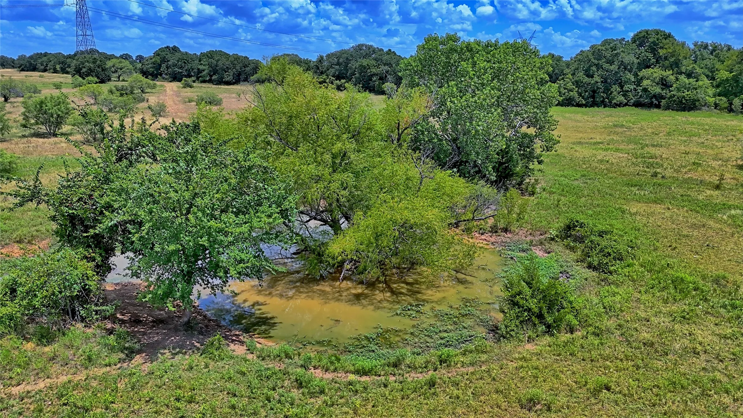 Unimproved Land For Sale in Wise County , 1179 County Road 1470, Chico, Texas 76431, 0, 0, Garage spaces, 0 Sqft, built in 0, Price $748,000, mls#21349031, Real Estate Agent in Chico, Homes For Sale in Wise county, Homes For Sale in Chico, Realtor in Chico Texas, Real Estate Brokerage Independent Realty Texas, Luminita Cordes Realtor