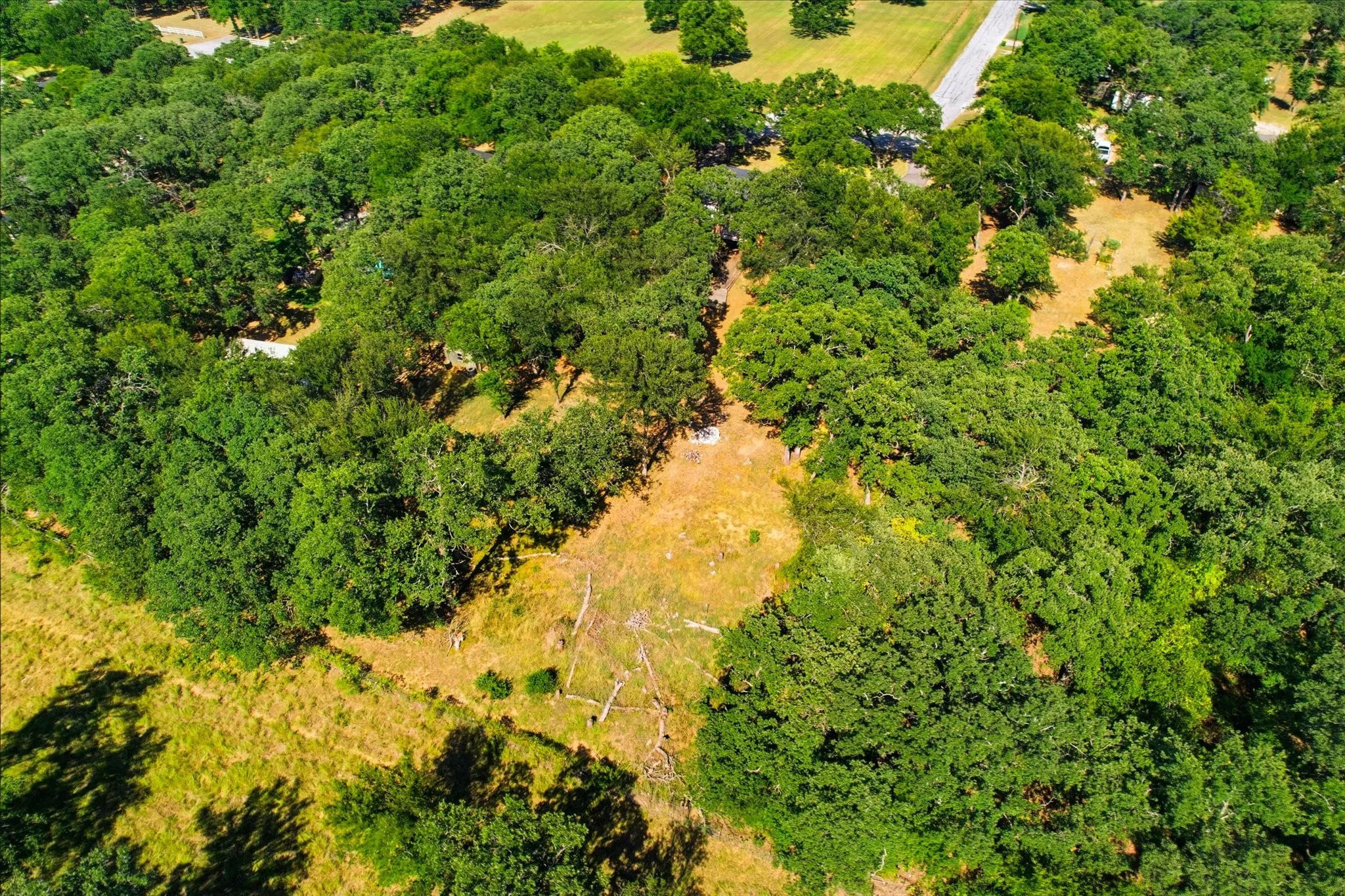 Expansive wooded acreage featuring mature trees and a cleared central area