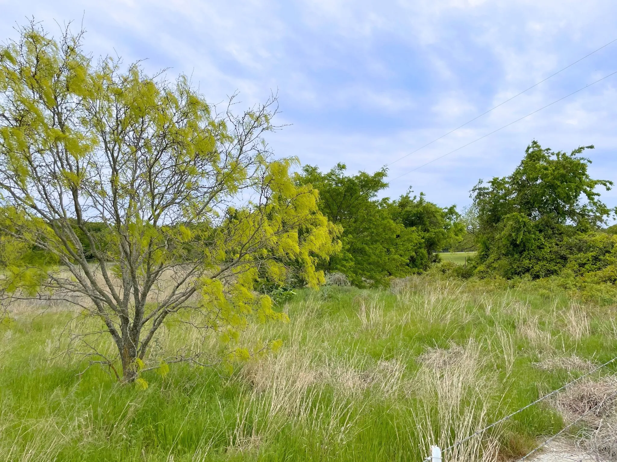Ranch For Sale in Hood County , 959 M and M Ranch Road, Granbury, Texas 76049, 0, 0, Garage spaces, 0 Sqft, built in 0, mls#21349070, Real Estate Agent in Granbury, Homes For Sale in Hood county, Homes For Sale in Granbury, Realtor in Granbury Texas, Real Estate Brokerage Independent Realty Texas, Luminita Cordes Realtor