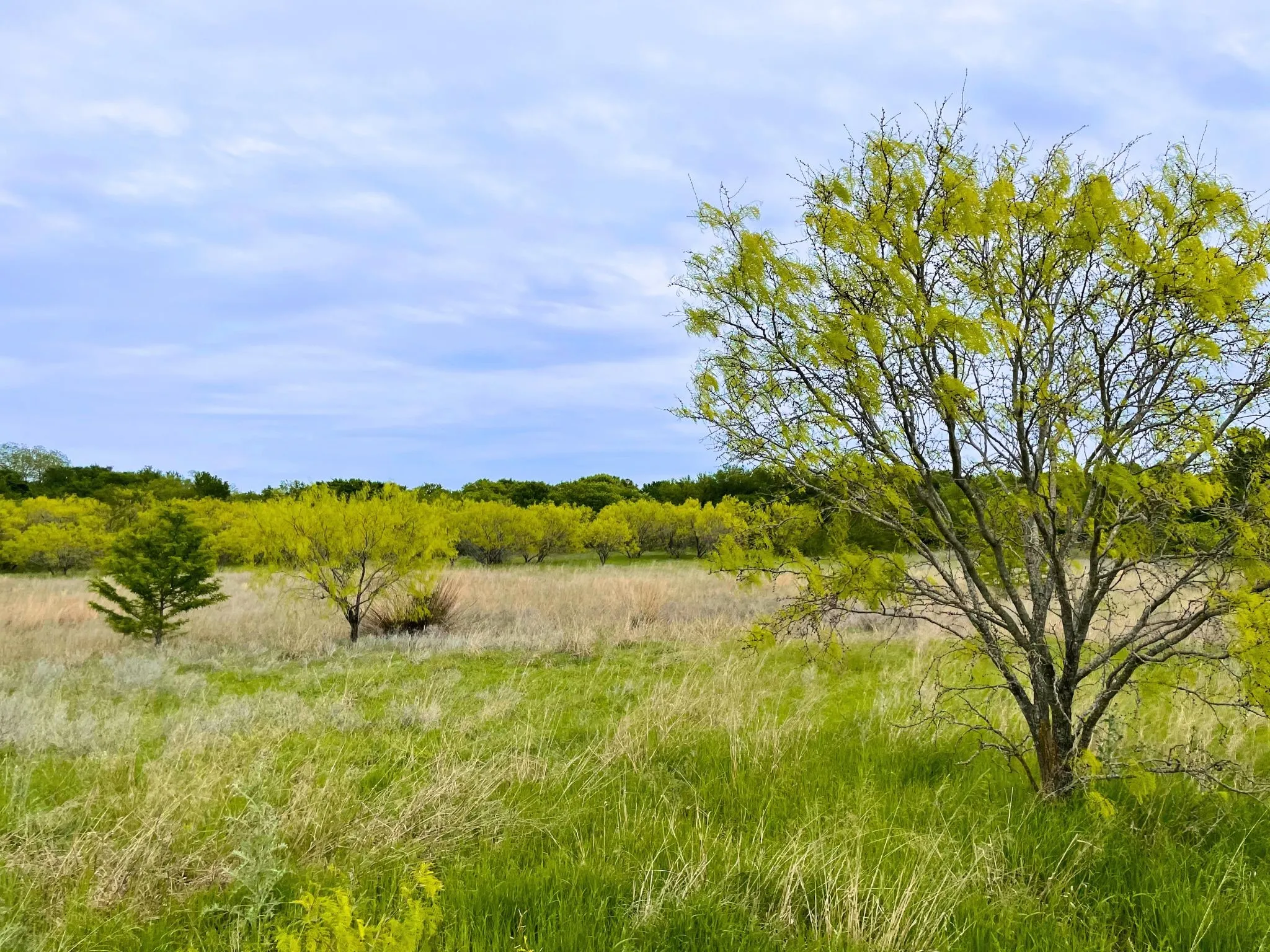 Ranch For Sale in Hood County , 959 M and M Ranch Road, Granbury, Texas 76049, 0, 0, Garage spaces, 0 Sqft, built in 0, mls#21349070, Real Estate Agent in Granbury, Homes For Sale in Hood county, Homes For Sale in Granbury, Realtor in Granbury Texas, Real Estate Brokerage Independent Realty Texas, Luminita Cordes Realtor
