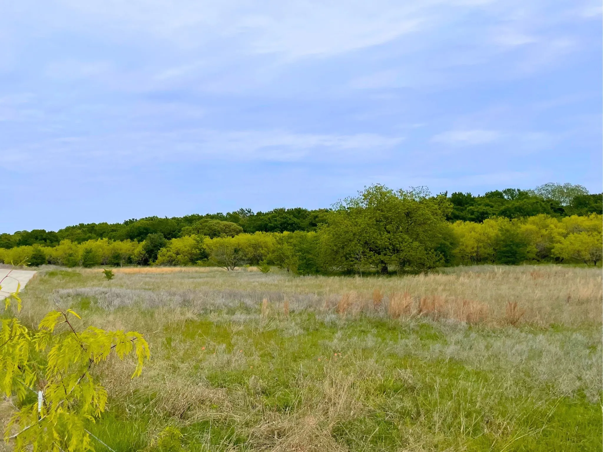 Ranch For Sale in Hood County , 959 M and M Ranch Road, Granbury, Texas 76049, 0, 0, Garage spaces, 0 Sqft, built in 0, mls#21349070, Real Estate Agent in Granbury, Homes For Sale in Hood county, Homes For Sale in Granbury, Realtor in Granbury Texas, Real Estate Brokerage Independent Realty Texas, Luminita Cordes Realtor