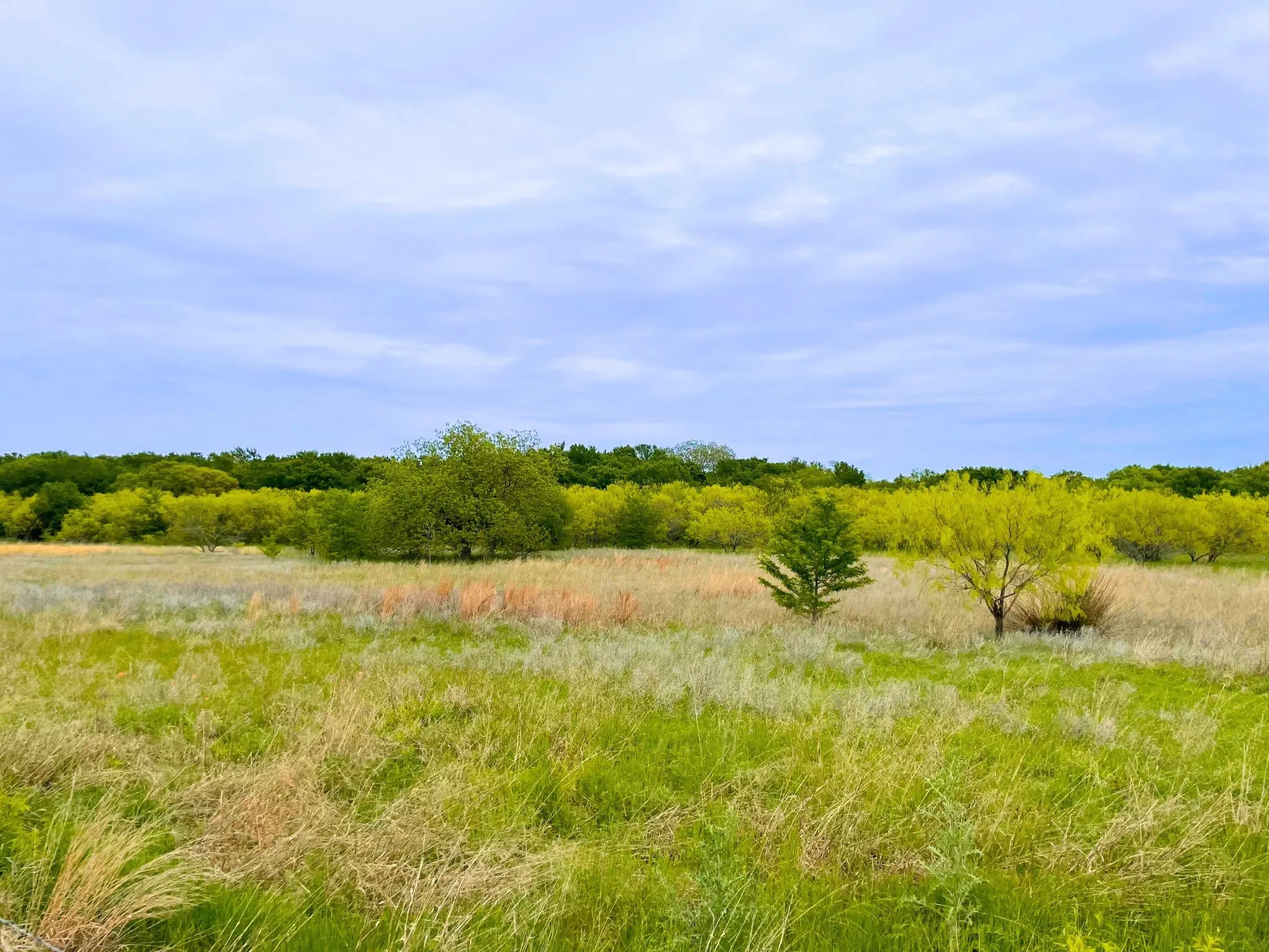 Ranch For Sale in Hood County , 959 M and M Ranch Road, Granbury, Texas 76049, 0, 0, Garage spaces, 0 Sqft, built in 0, mls#21349070, Real Estate Agent in Granbury, Homes For Sale in Hood county, Homes For Sale in Granbury, Realtor in Granbury Texas, Real Estate Brokerage Independent Realty Texas, Luminita Cordes Realtor