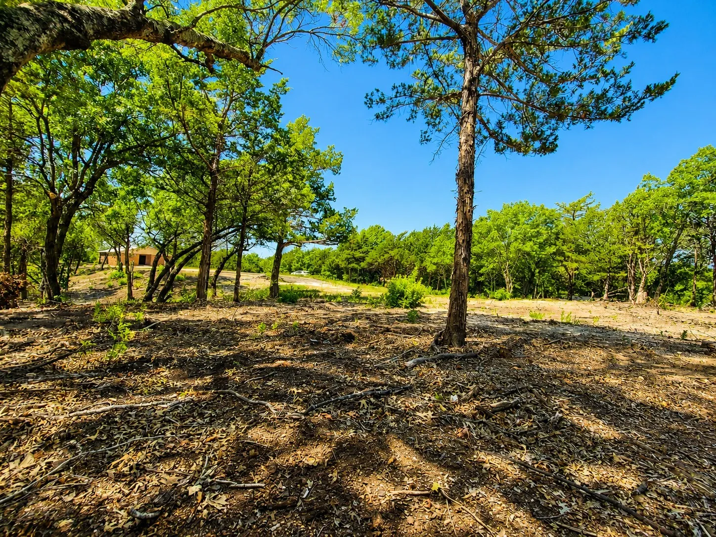 Business For Sale in Grayson County , 1264 Red Moore Road, Whitewright, Texas 75491, 0, 0, Garage spaces, 0 Sqft, built in 2008, mls#21329859, Real Estate Agent in Whitewright, Homes For Sale in Grayson county, Homes For Sale in Whitewright, Realtor in Whitewright Texas, Real Estate Brokerage Independent Realty Texas, Luminita Cordes Realtor