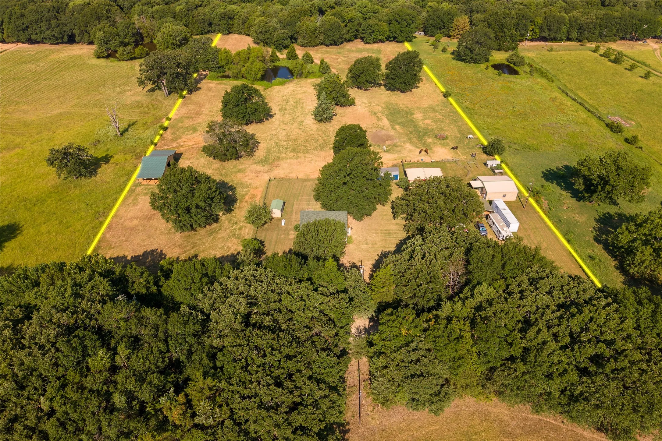 Farm For Sale in Fannin County , 1549 County Road 2130, Telephone, Texas 75488, 1 Bedroom, 2 Bathroom, Garage spaces, 1,600 Sqft, built in 2004, mls#21349142, Real Estate Agent in Telephone, Homes For Sale in Fannin county, Homes For Sale in Telephone, Realtor in Telephone Texas, Real Estate Brokerage Independent Realty Texas, Luminita Cordes Realtor