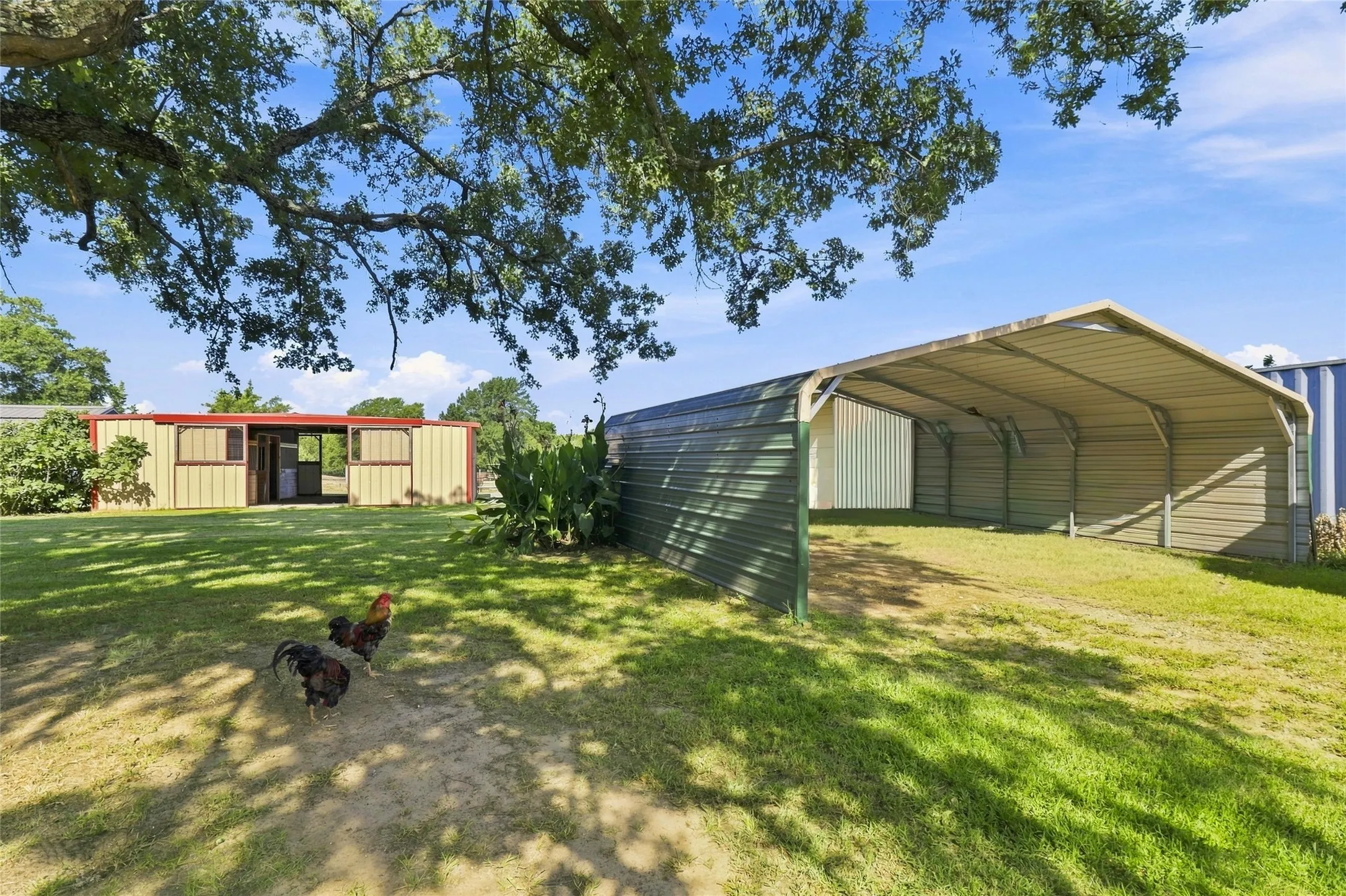 Farm For Sale in Fannin County , 1549 County Road 2130, Telephone, Texas 75488, 1 Bedroom, 2 Bathroom, Garage spaces, 1,600 Sqft, built in 2004, mls#21349142, Real Estate Agent in Telephone, Homes For Sale in Fannin county, Homes For Sale in Telephone, Realtor in Telephone Texas, Real Estate Brokerage Independent Realty Texas, Luminita Cordes Realtor