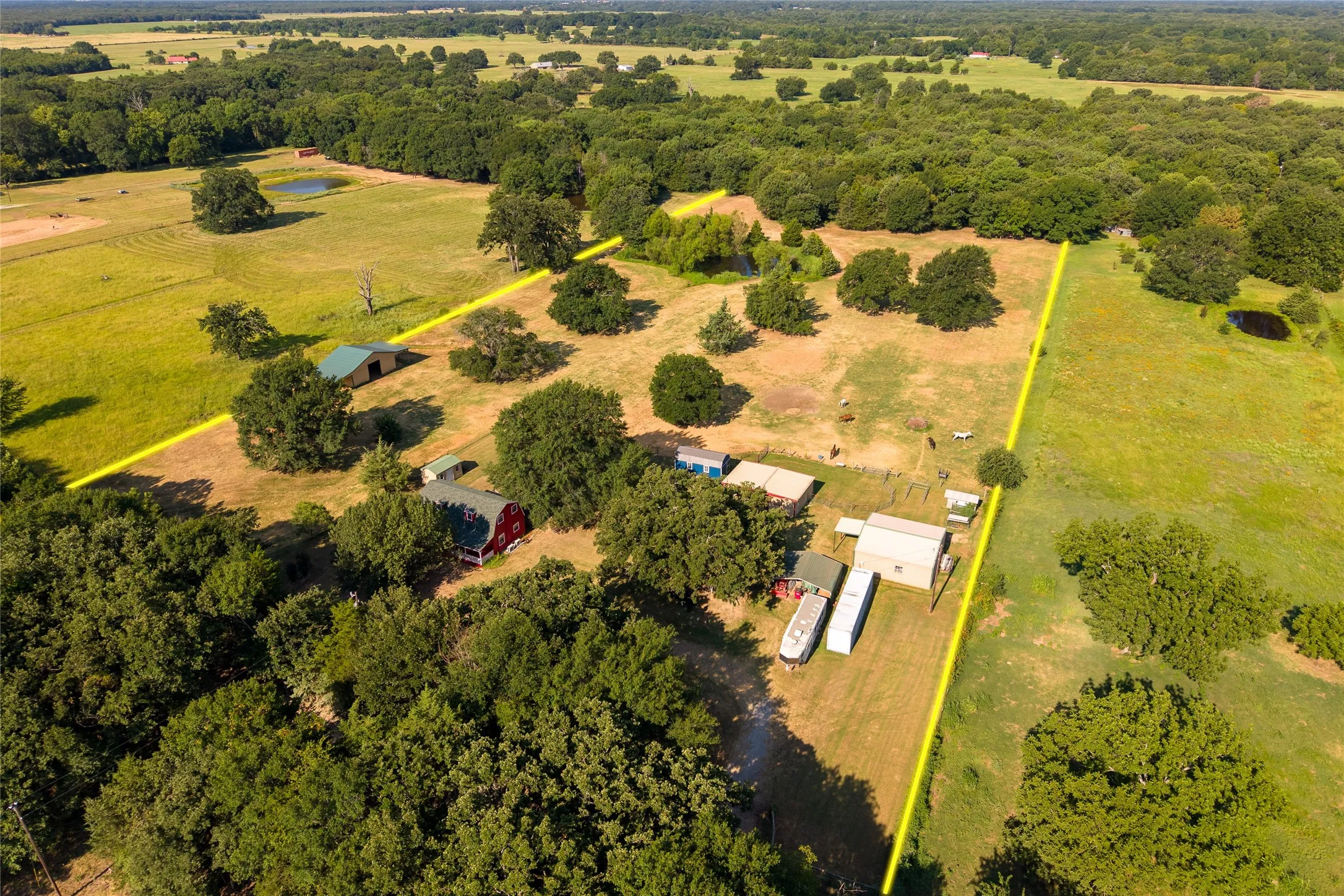 Farm For Sale in Fannin County , 1549 County Road 2130, Telephone, Texas 75488, 1 Bedroom, 2 Bathroom, Garage spaces, 1,600 Sqft, built in 2004, mls#21349142, Real Estate Agent in Telephone, Homes For Sale in Fannin county, Homes For Sale in Telephone, Realtor in Telephone Texas, Real Estate Brokerage Independent Realty Texas, Luminita Cordes Realtor