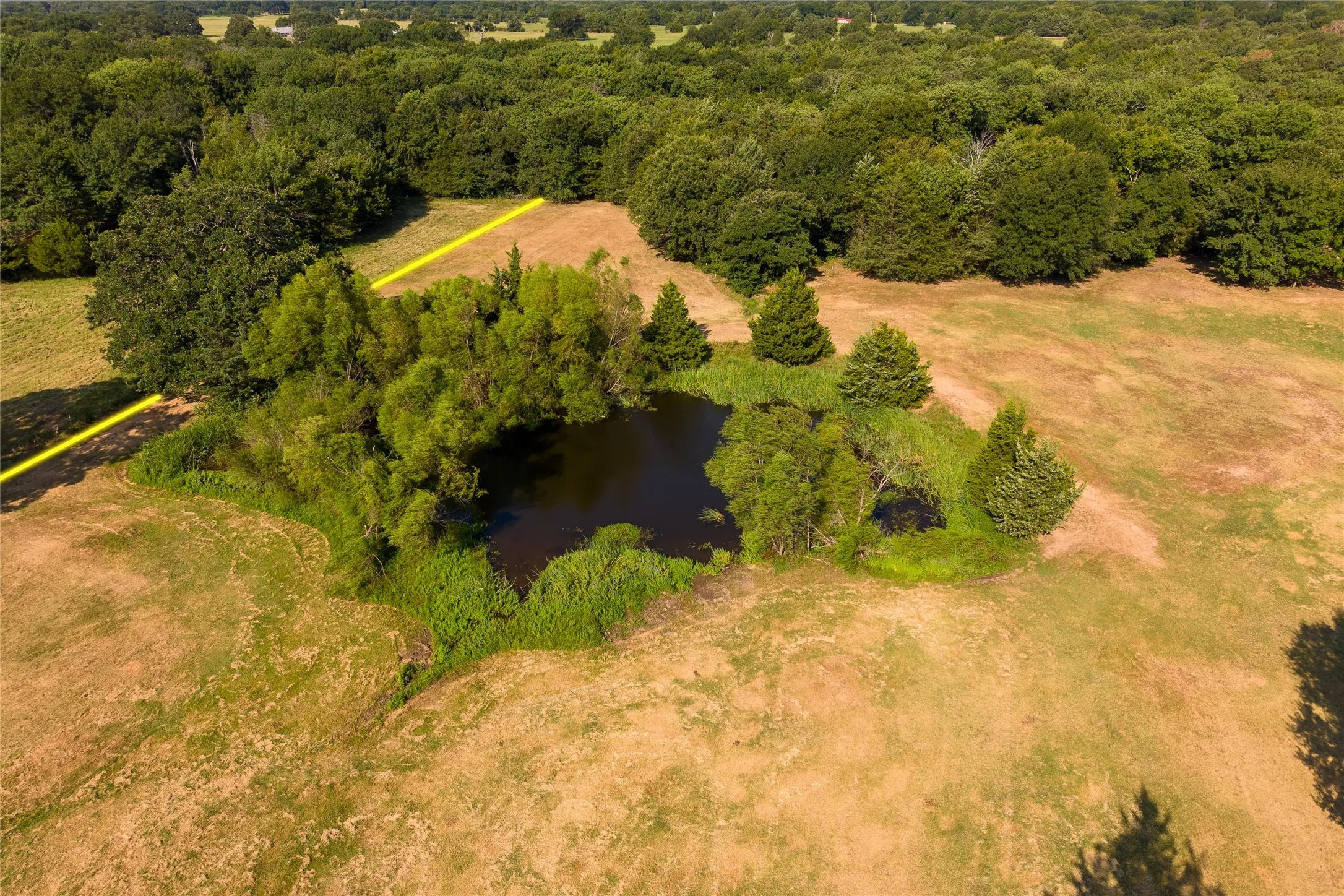 Farm For Sale in Fannin County , 1549 County Road 2130, Telephone, Texas 75488, 1 Bedroom, 2 Bathroom, Garage spaces, 1,600 Sqft, built in 2004, mls#21349142, Real Estate Agent in Telephone, Homes For Sale in Fannin county, Homes For Sale in Telephone, Realtor in Telephone Texas, Real Estate Brokerage Independent Realty Texas, Luminita Cordes Realtor