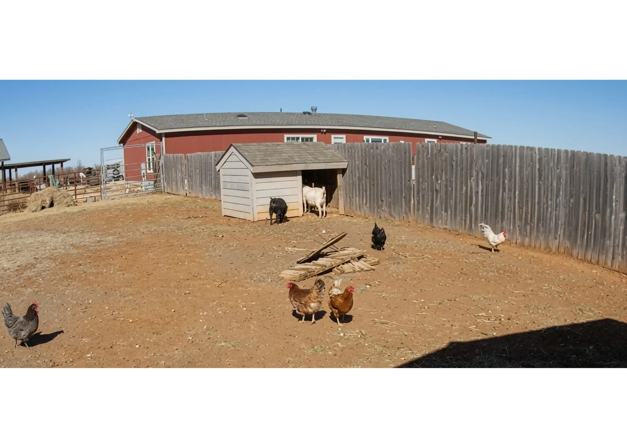 Single Family Residence For Sale in Jones County , 12175 Private Road 6054, Hawley, Texas 79525, 3 Bedrooms, 2 Bathrooms, Garage spaces, 2,304 Sqft, built in 2016, Price $340,000, mls#21349258, Real Estate Agent in Hawley, Homes For Sale in Jones county, Homes For Sale in Hawley, Realtor in Hawley Texas, Real Estate Brokerage Independent Realty Texas, Luminita Cordes Realtor