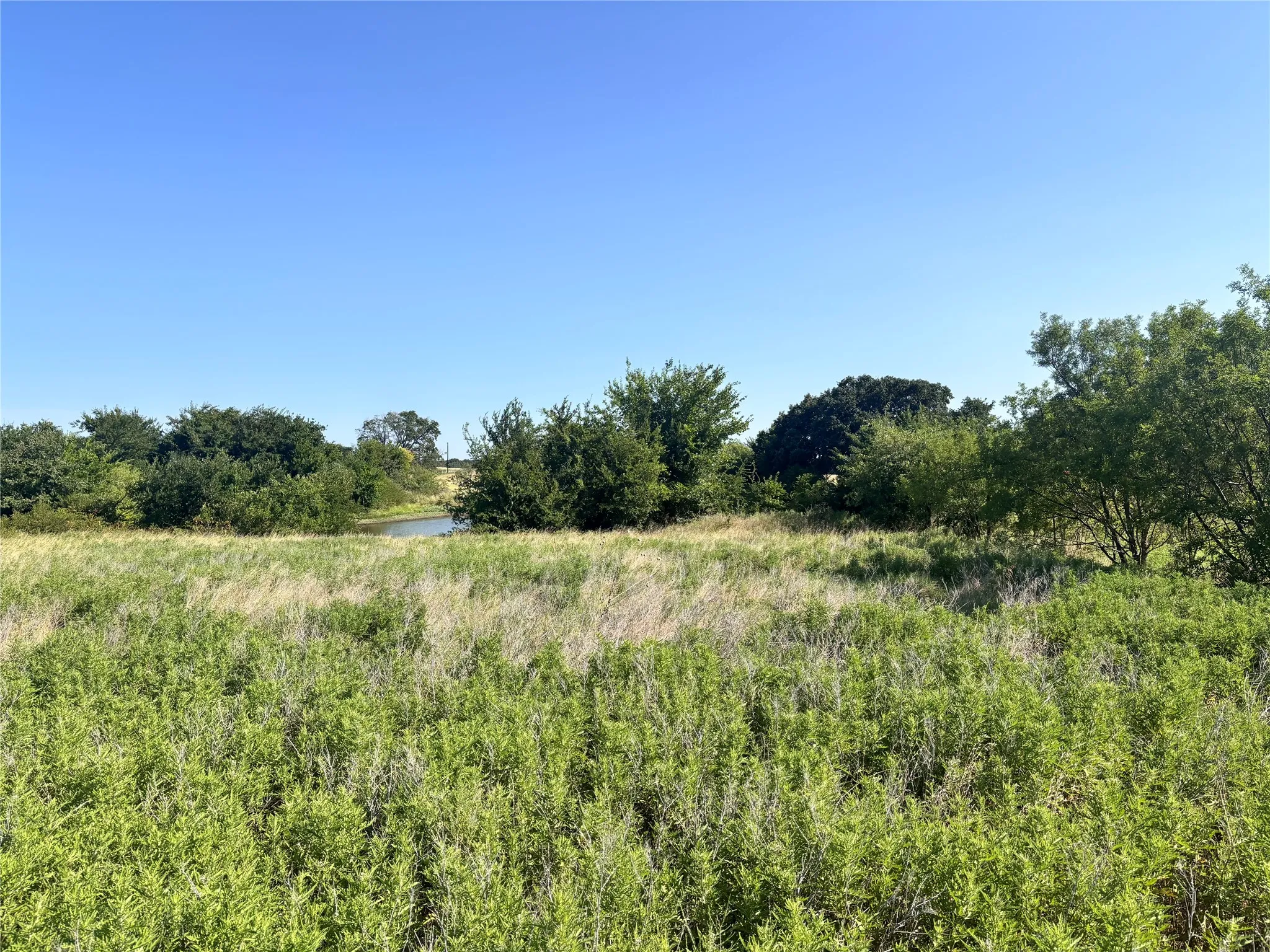 Unimproved Land For Sale in Wise County , TBD COUNTY ROAD 1340 16, Chico, Texas 76431, 0, 0, Garage spaces, 0 Sqft, built in 0, mls#21349266, Real Estate Agent in Chico, Homes For Sale in Wise county, Homes For Sale in Chico, Realtor in Chico Texas, Real Estate Brokerage Independent Realty Texas, Luminita Cordes Realtor