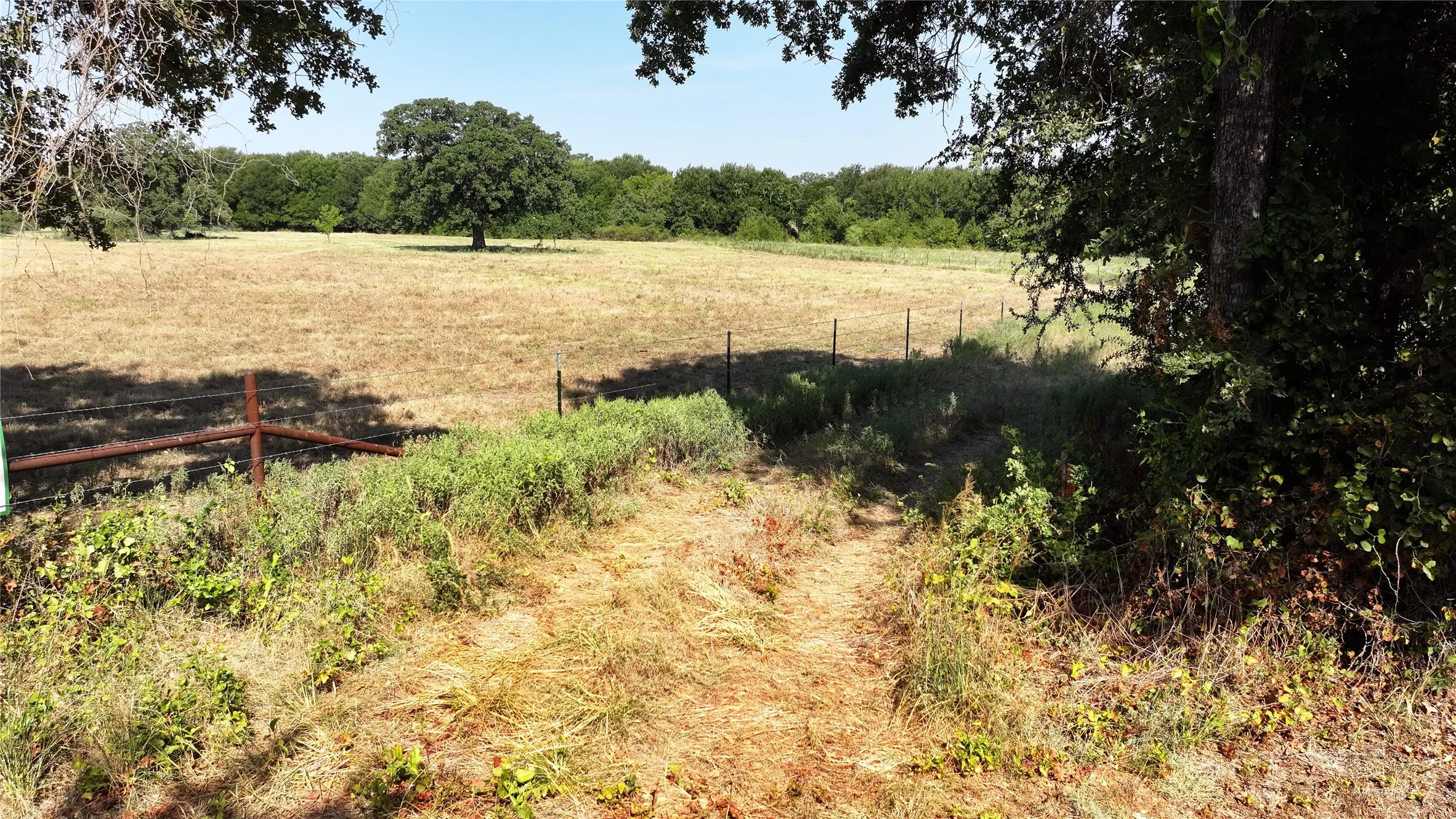 Unimproved Land For Sale in Wise County , TBD COUNTY ROAD 1340 16, Chico, Texas 76431, 0, 0, Garage spaces, 0 Sqft, built in 0, mls#21349266, Real Estate Agent in Chico, Homes For Sale in Wise county, Homes For Sale in Chico, Realtor in Chico Texas, Real Estate Brokerage Independent Realty Texas, Luminita Cordes Realtor