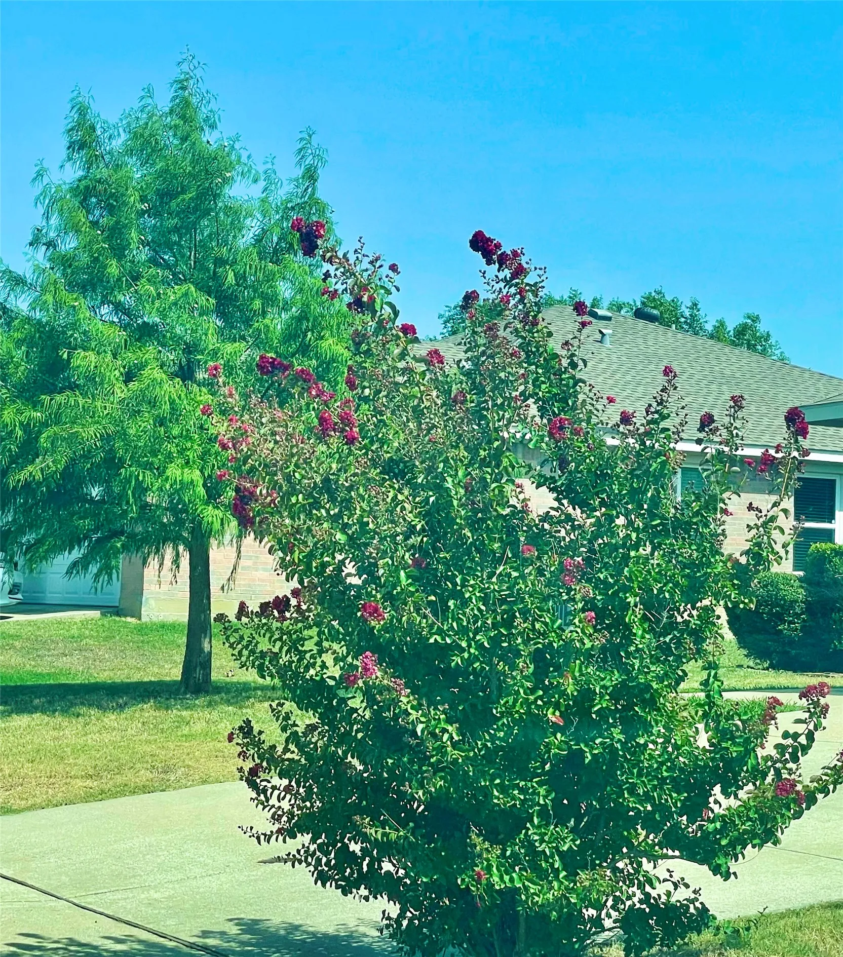 Single Family Residence For Rent in Denton County , 1308 Wenatchee Drive, Krum, Texas 76249, 3 Bedroom, 2 Bathroom, 2 Garage spaces, 1,618 Sqft, built in 2002, mls#21349298, Real Estate Agent in Krum, Homes For Rent in Denton county, Homes For Rent in Krum, Realtor in Krum Texas, Real Estate Brokerage Independent Realty Texas, Luminita Cordes Realtor