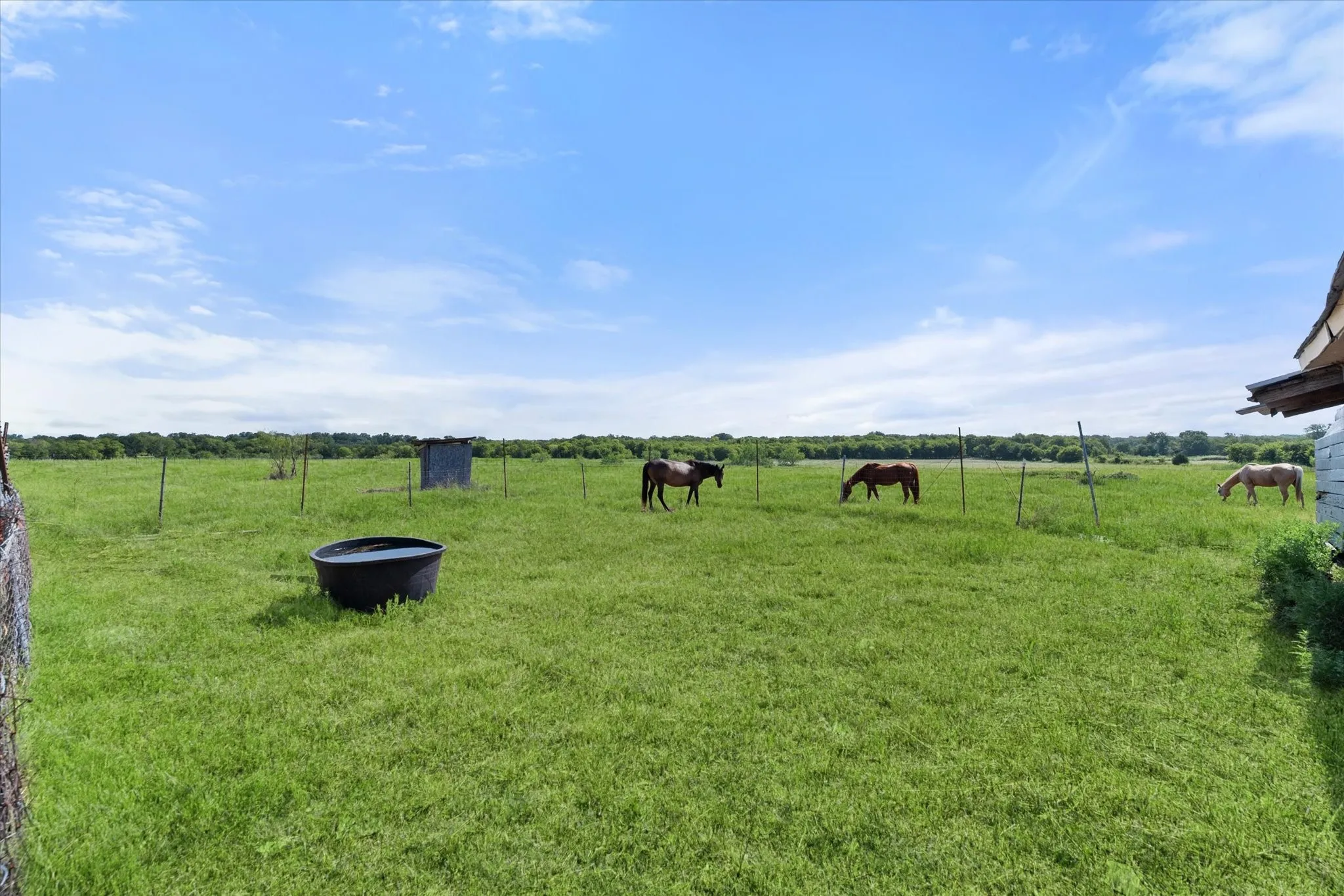 Single Family Residence For Sale in Navarro County , 8057 Wilson Ranch Road, Barry, Texas 75102, 2 Bedroom, 1 Bathroom, 1 Garage spaces, 1,066 Sqft, built in 2018, mls#21347180, Real Estate Agent in Barry, Homes For Sale in Navarro county, Homes For Sale in Barry, Realtor in Barry Texas, Real Estate Brokerage Independent Realty Texas, Luminita Cordes Realtor