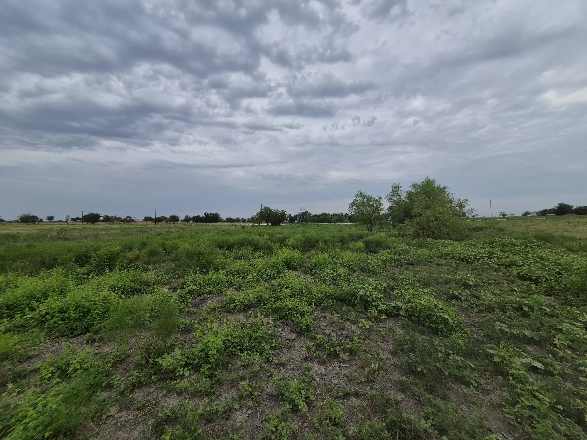 Unimproved Land For Sale in Hamilton County , LOT 38 Pr 4311, Jonesboro, Texas 76538, 0, 0, Garage spaces, 0 Sqft, built in 0, Price $95,000, mls#21348862, Real Estate Agent in Jonesboro, Homes For Sale in Hamilton county, Homes For Sale in Jonesboro, Realtor in Jonesboro Texas, Real Estate Brokerage Independent Realty Texas, Luminita Cordes Realtor