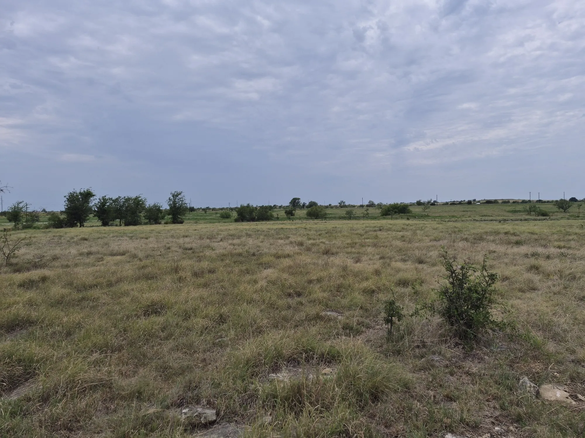 Unimproved Land For Sale in Hamilton County , LOT 38 Pr 4311, Jonesboro, Texas 76538, 0, 0, Garage spaces, 0 Sqft, built in 0, Price $95,000, mls#21348862, Real Estate Agent in Jonesboro, Homes For Sale in Hamilton county, Homes For Sale in Jonesboro, Realtor in Jonesboro Texas, Real Estate Brokerage Independent Realty Texas, Luminita Cordes Realtor