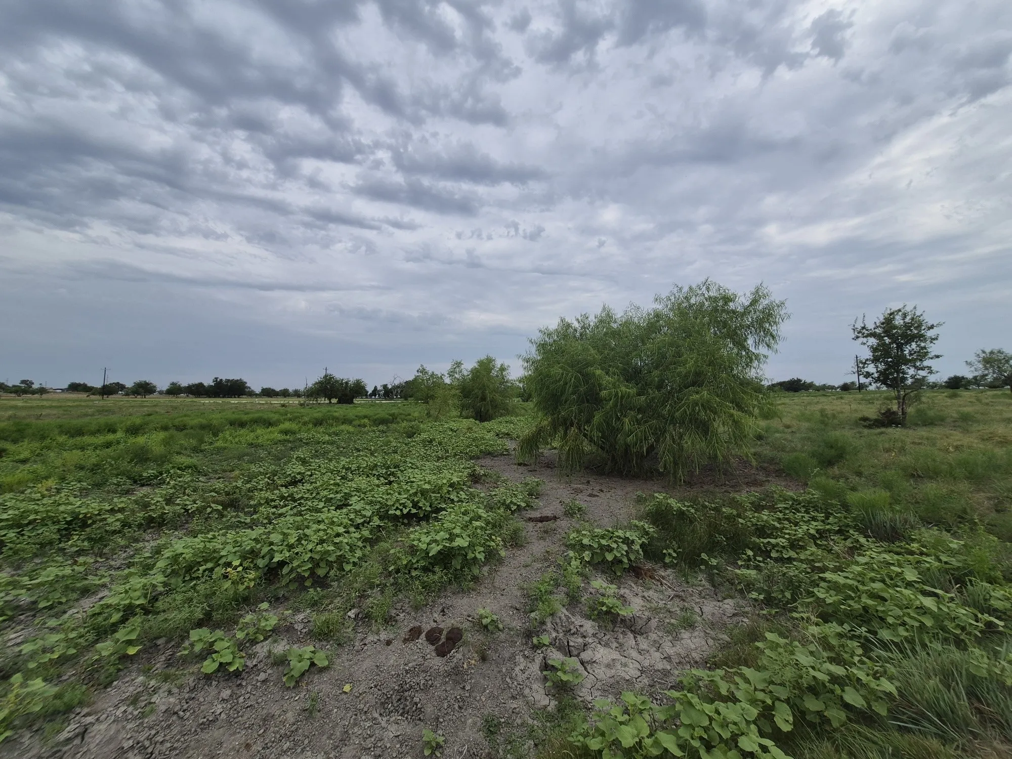 Unimproved Land For Sale in Hamilton County , LOT 38 Pr 4311, Jonesboro, Texas 76538, 0, 0, Garage spaces, 0 Sqft, built in 0, Price $95,000, mls#21348862, Real Estate Agent in Jonesboro, Homes For Sale in Hamilton county, Homes For Sale in Jonesboro, Realtor in Jonesboro Texas, Real Estate Brokerage Independent Realty Texas, Luminita Cordes Realtor