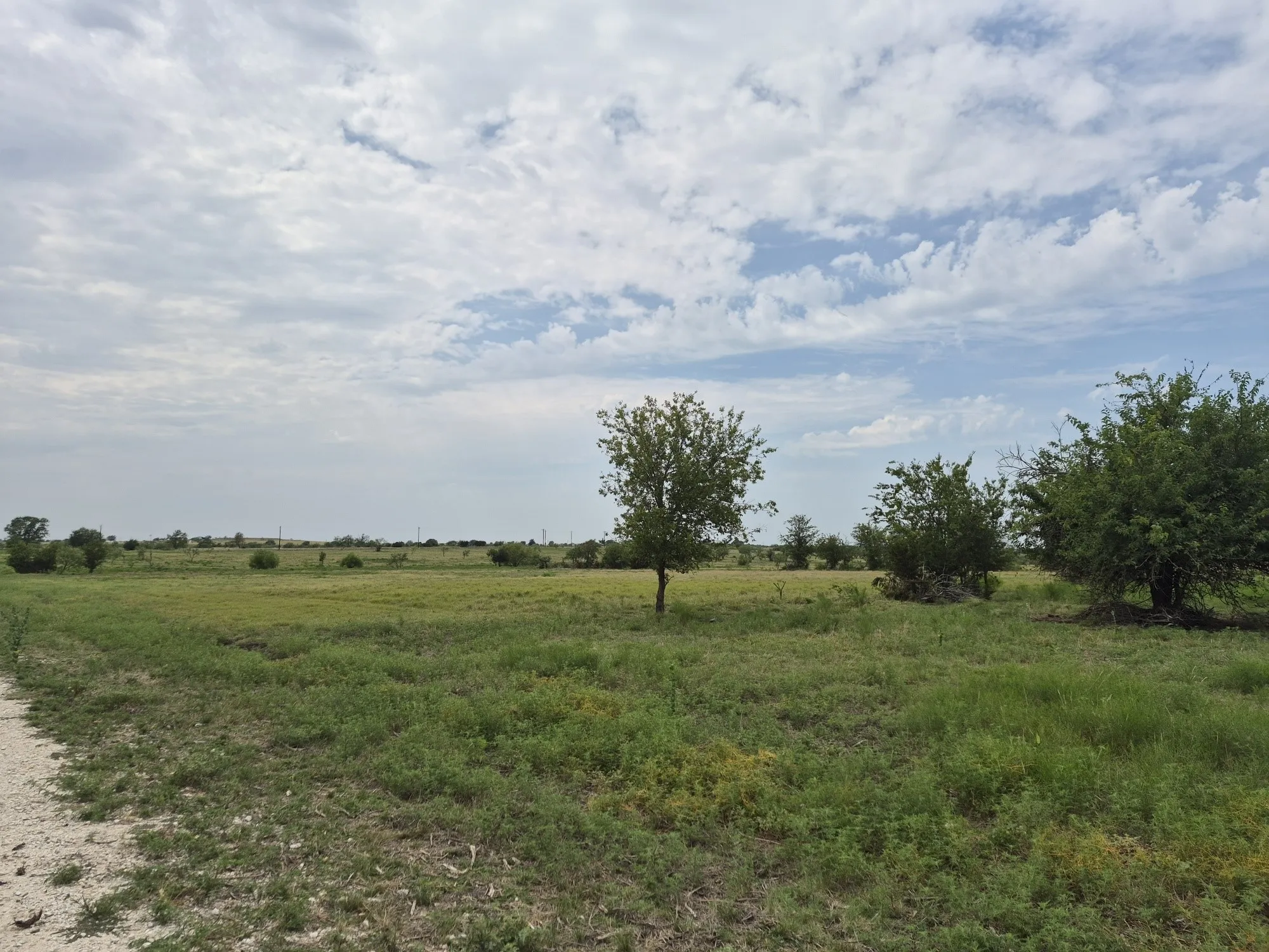 Unimproved Land For Sale in Hamilton County , LOT 38 Pr 4311, Jonesboro, Texas 76538, 0, 0, Garage spaces, 0 Sqft, built in 0, Price $95,000, mls#21348862, Real Estate Agent in Jonesboro, Homes For Sale in Hamilton county, Homes For Sale in Jonesboro, Realtor in Jonesboro Texas, Real Estate Brokerage Independent Realty Texas, Luminita Cordes Realtor