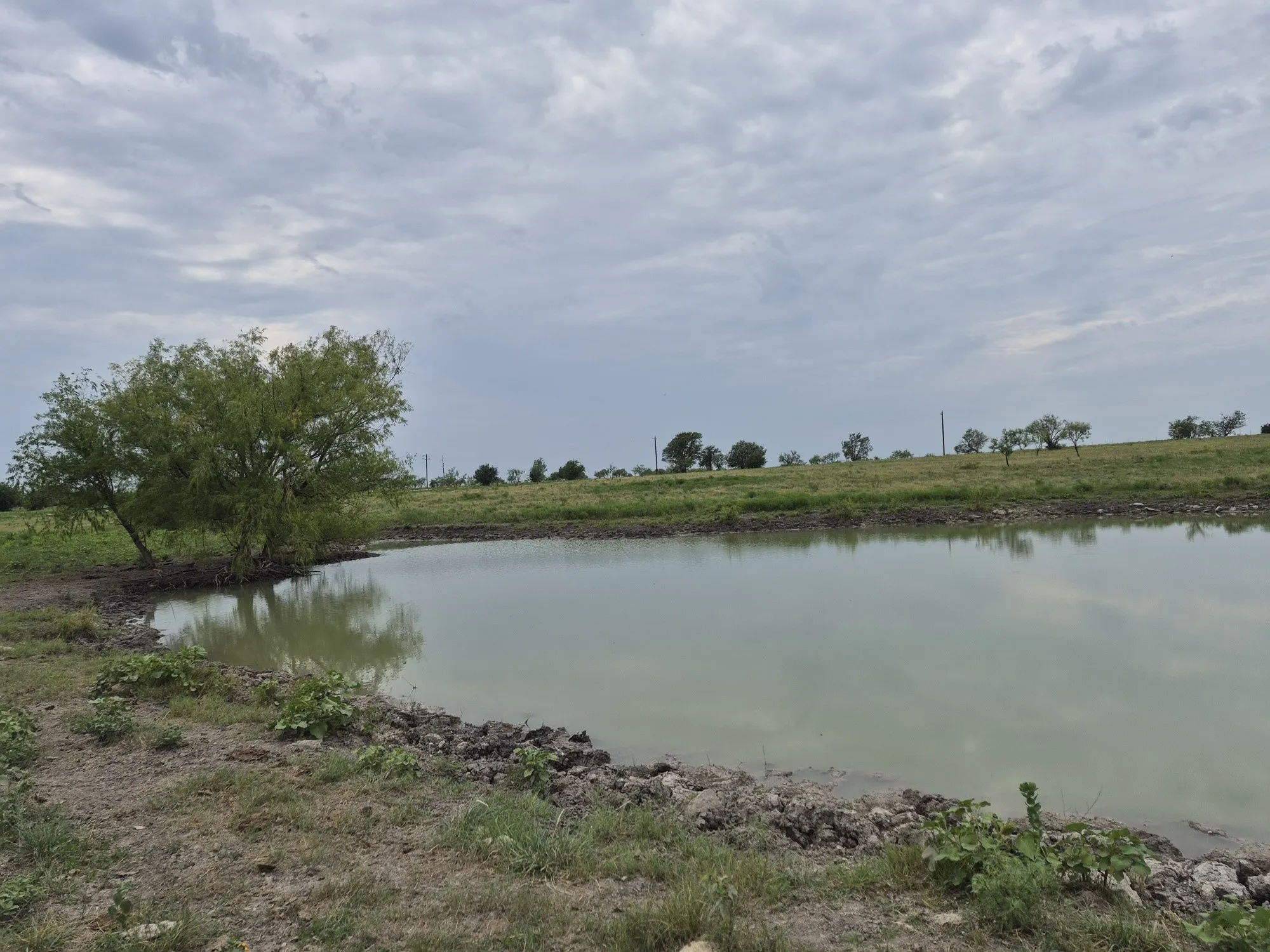Unimproved Land For Sale in Hamilton County , LOT 38 Pr 4311, Jonesboro, Texas 76538, 0, 0, Garage spaces, 0 Sqft, built in 0, Price $95,000, mls#21348862, Real Estate Agent in Jonesboro, Homes For Sale in Hamilton county, Homes For Sale in Jonesboro, Realtor in Jonesboro Texas, Real Estate Brokerage Independent Realty Texas, Luminita Cordes Realtor