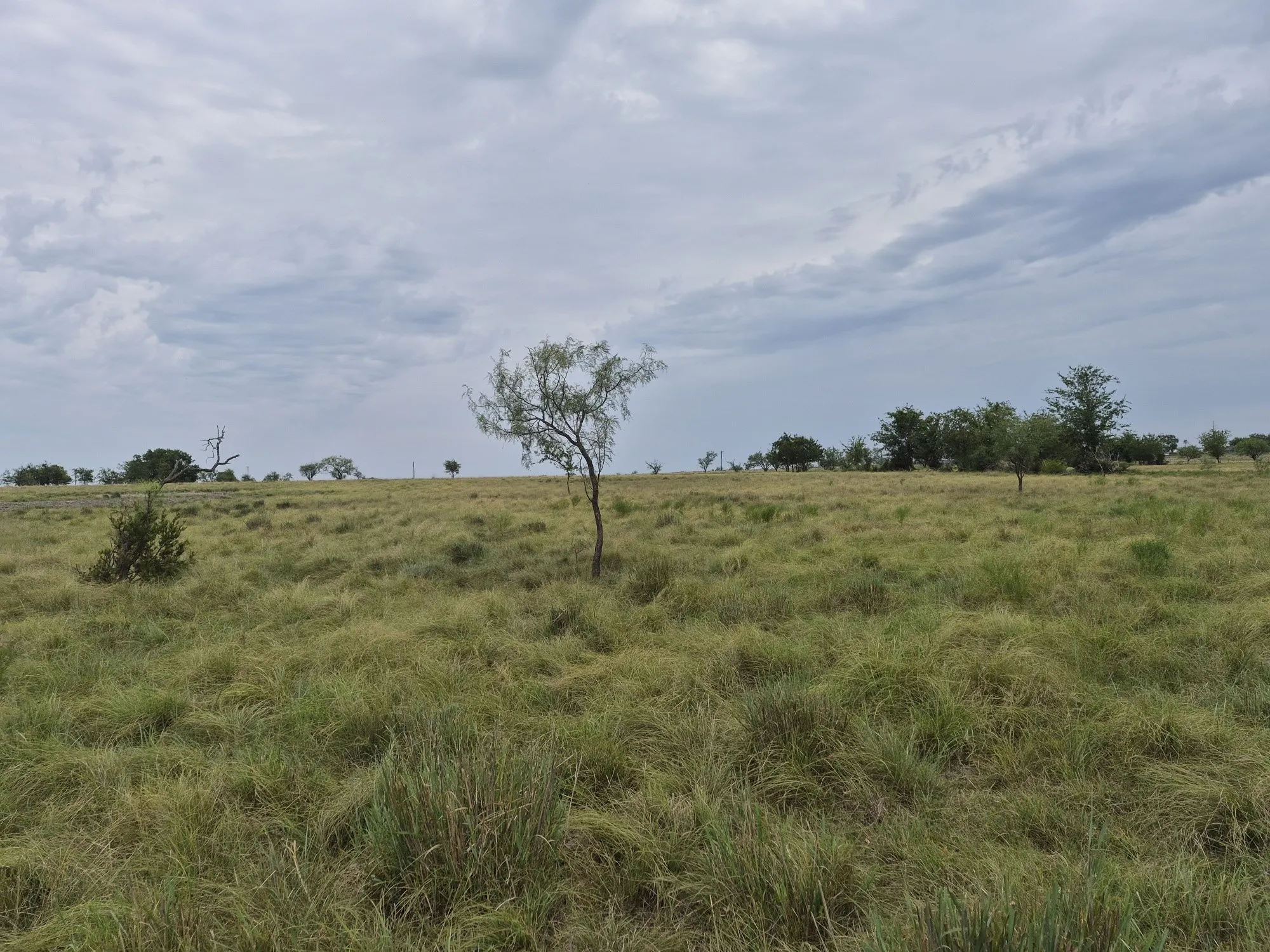 Unimproved Land For Sale in Hamilton County , LOT 38 Pr 4311, Jonesboro, Texas 76538, 0, 0, Garage spaces, 0 Sqft, built in 0, Price $95,000, mls#21348862, Real Estate Agent in Jonesboro, Homes For Sale in Hamilton county, Homes For Sale in Jonesboro, Realtor in Jonesboro Texas, Real Estate Brokerage Independent Realty Texas, Luminita Cordes Realtor