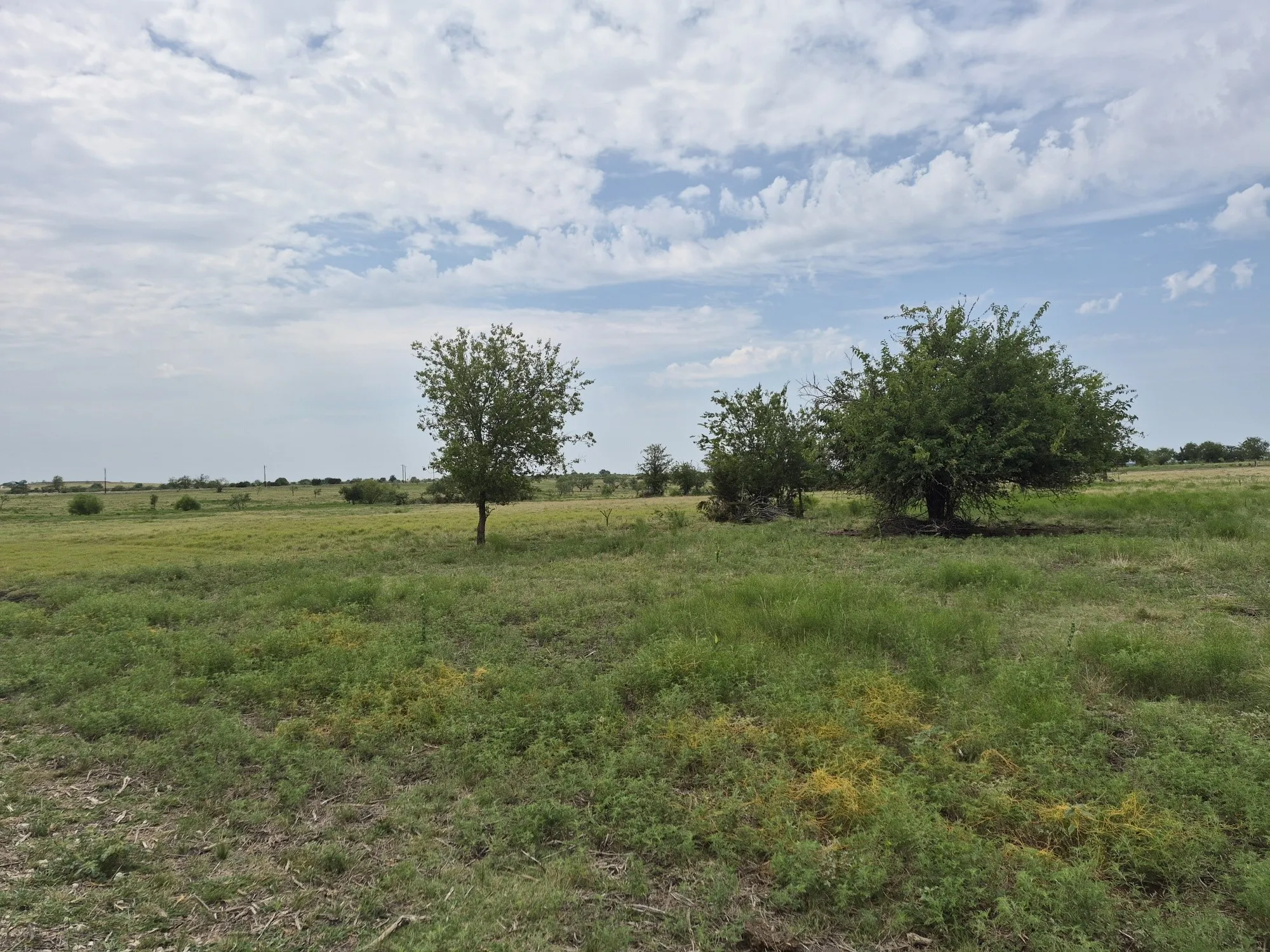 Unimproved Land For Sale in Hamilton County , LOT 38 Pr 4311, Jonesboro, Texas 76538, 0, 0, Garage spaces, 0 Sqft, built in 0, Price $95,000, mls#21348862, Real Estate Agent in Jonesboro, Homes For Sale in Hamilton county, Homes For Sale in Jonesboro, Realtor in Jonesboro Texas, Real Estate Brokerage Independent Realty Texas, Luminita Cordes Realtor