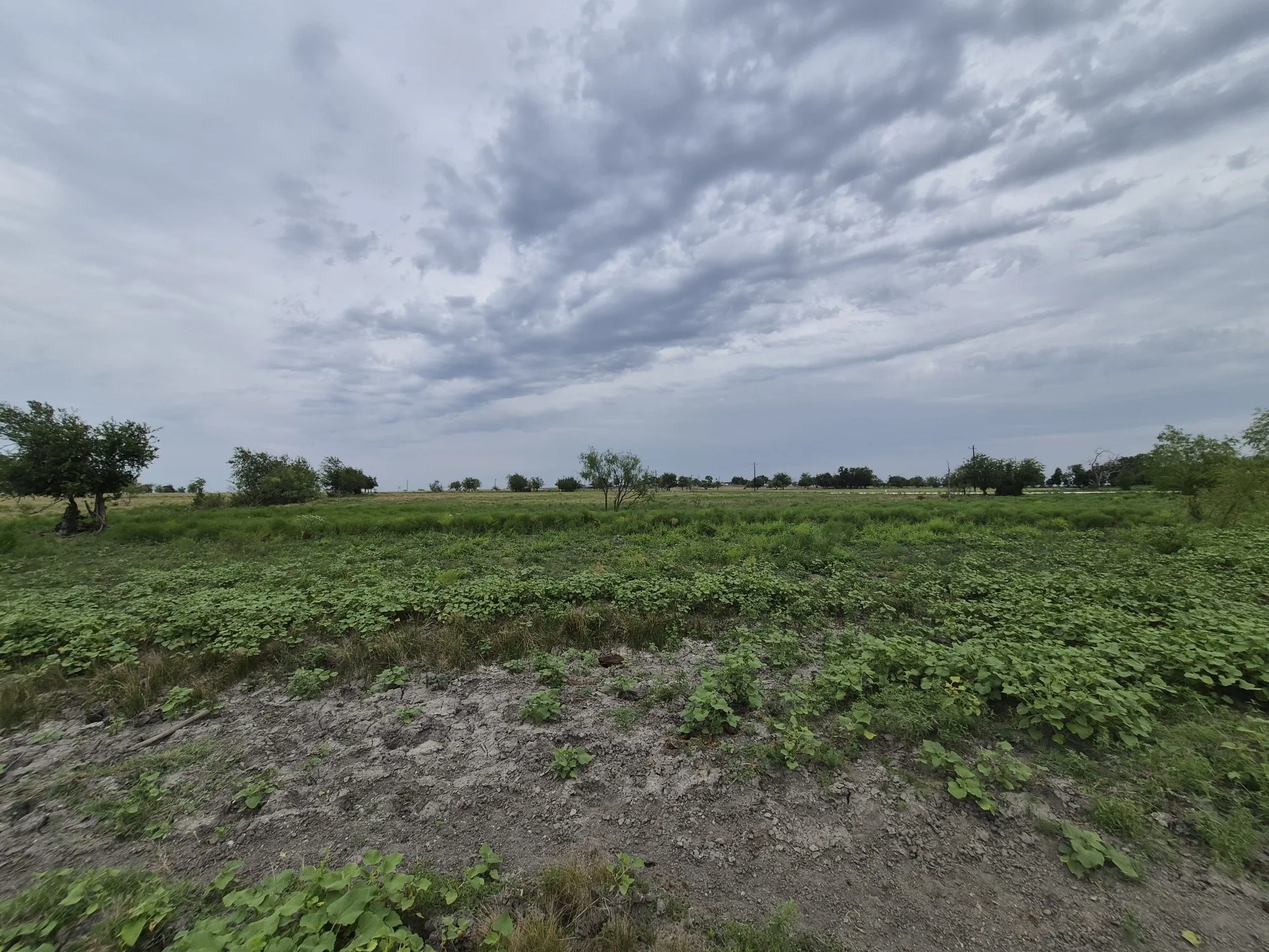 Unimproved Land For Sale in Hamilton County , LOT 38 Pr 4311, Jonesboro, Texas 76538, 0, 0, Garage spaces, 0 Sqft, built in 0, Price $95,000, mls#21348862, Real Estate Agent in Jonesboro, Homes For Sale in Hamilton county, Homes For Sale in Jonesboro, Realtor in Jonesboro Texas, Real Estate Brokerage Independent Realty Texas, Luminita Cordes Realtor