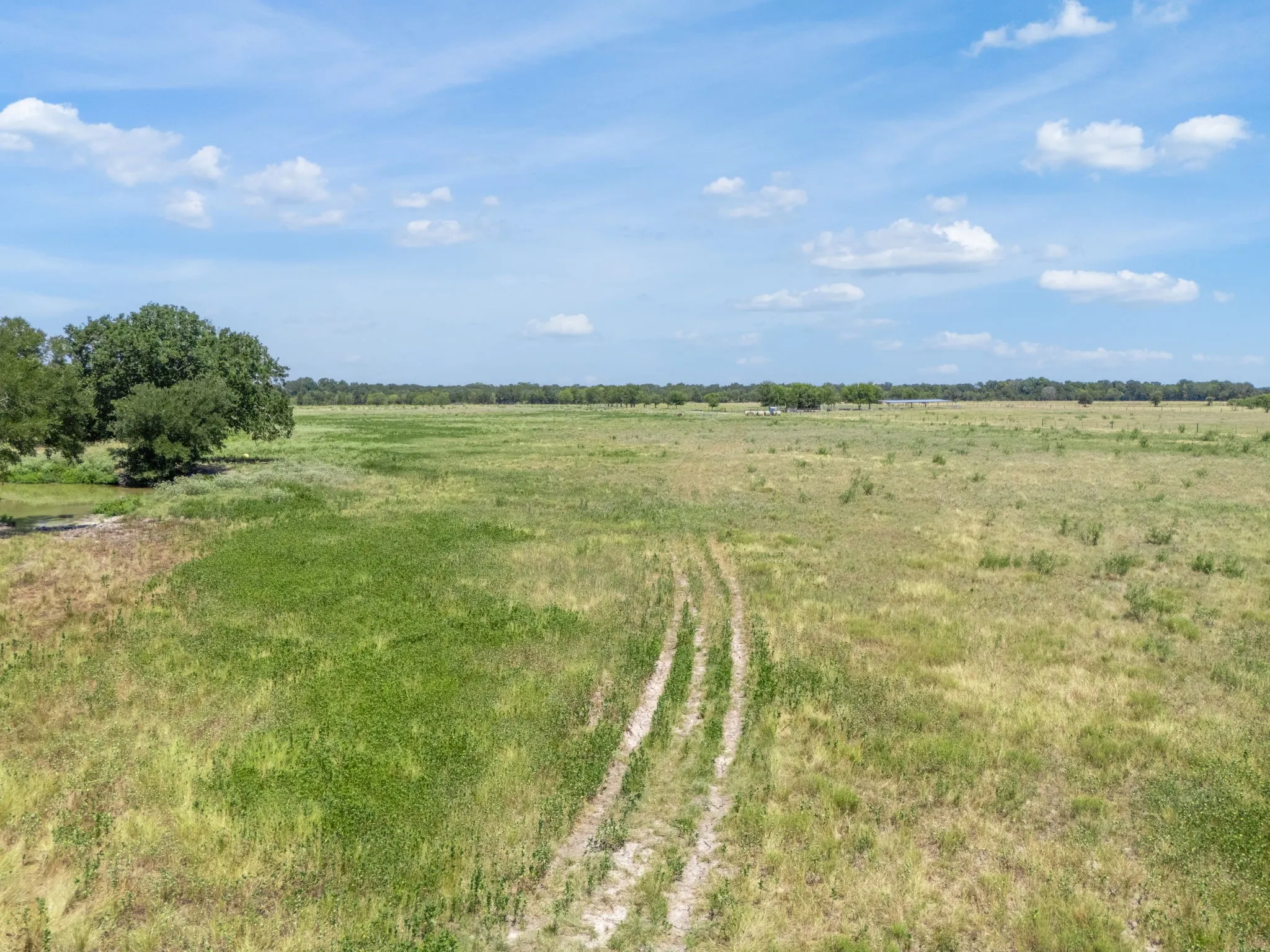 Improved Land For Sale in Falls County , TBD CR 217, Reagan, Texas 76680, 0, 0, Garage spaces, 0 Sqft, built in 0, Price $299,500, mls#21348571, Real Estate Agent in Reagan, Homes For Sale in Falls county, Homes For Sale in Reagan, Realtor in Reagan Texas, Real Estate Brokerage Independent Realty Texas, Luminita Cordes Realtor
