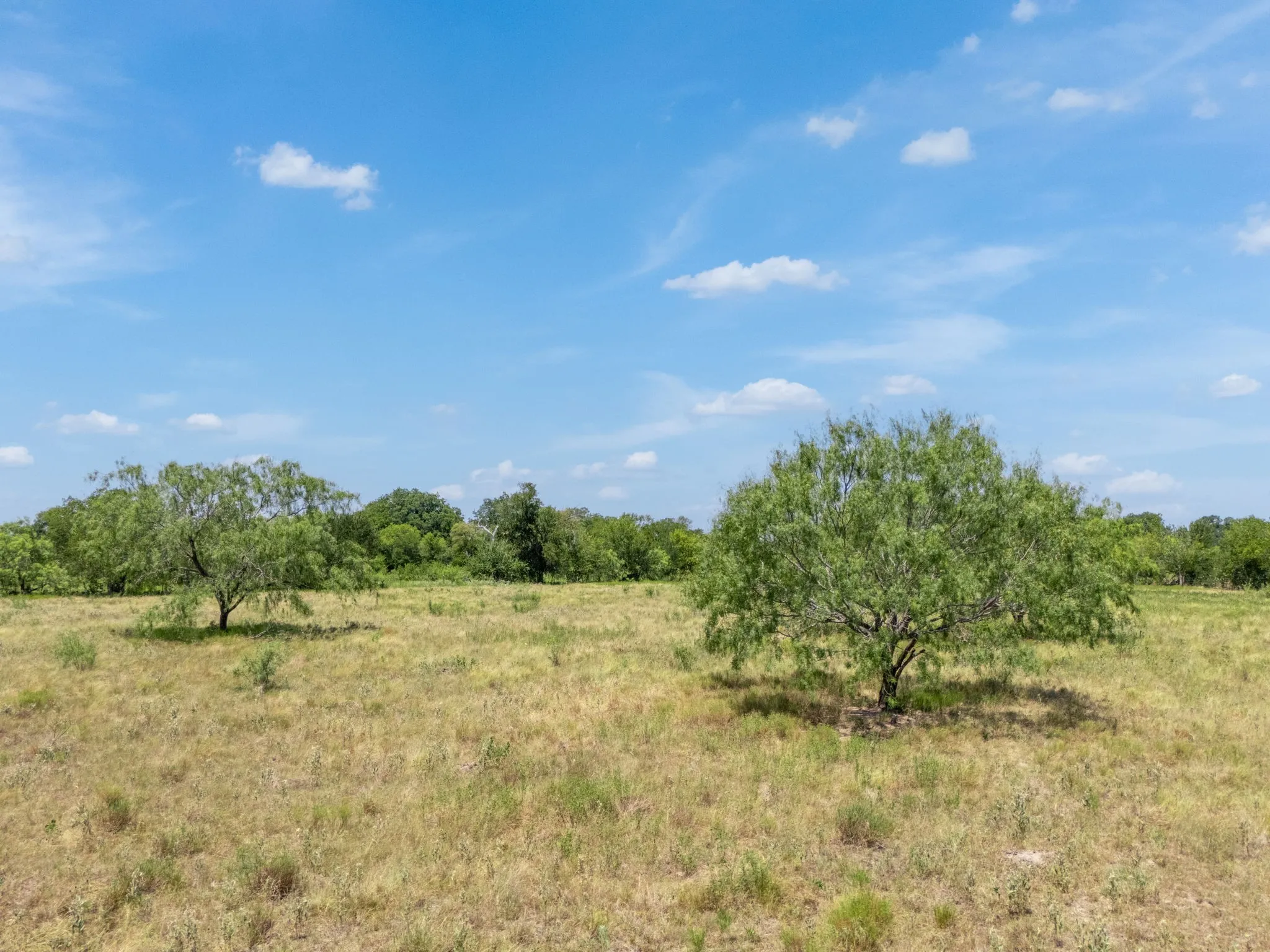 Improved Land For Sale in Falls County , TBD CR 217, Reagan, Texas 76680, 0, 0, Garage spaces, 0 Sqft, built in 0, Price $299,500, mls#21348571, Real Estate Agent in Reagan, Homes For Sale in Falls county, Homes For Sale in Reagan, Realtor in Reagan Texas, Real Estate Brokerage Independent Realty Texas, Luminita Cordes Realtor