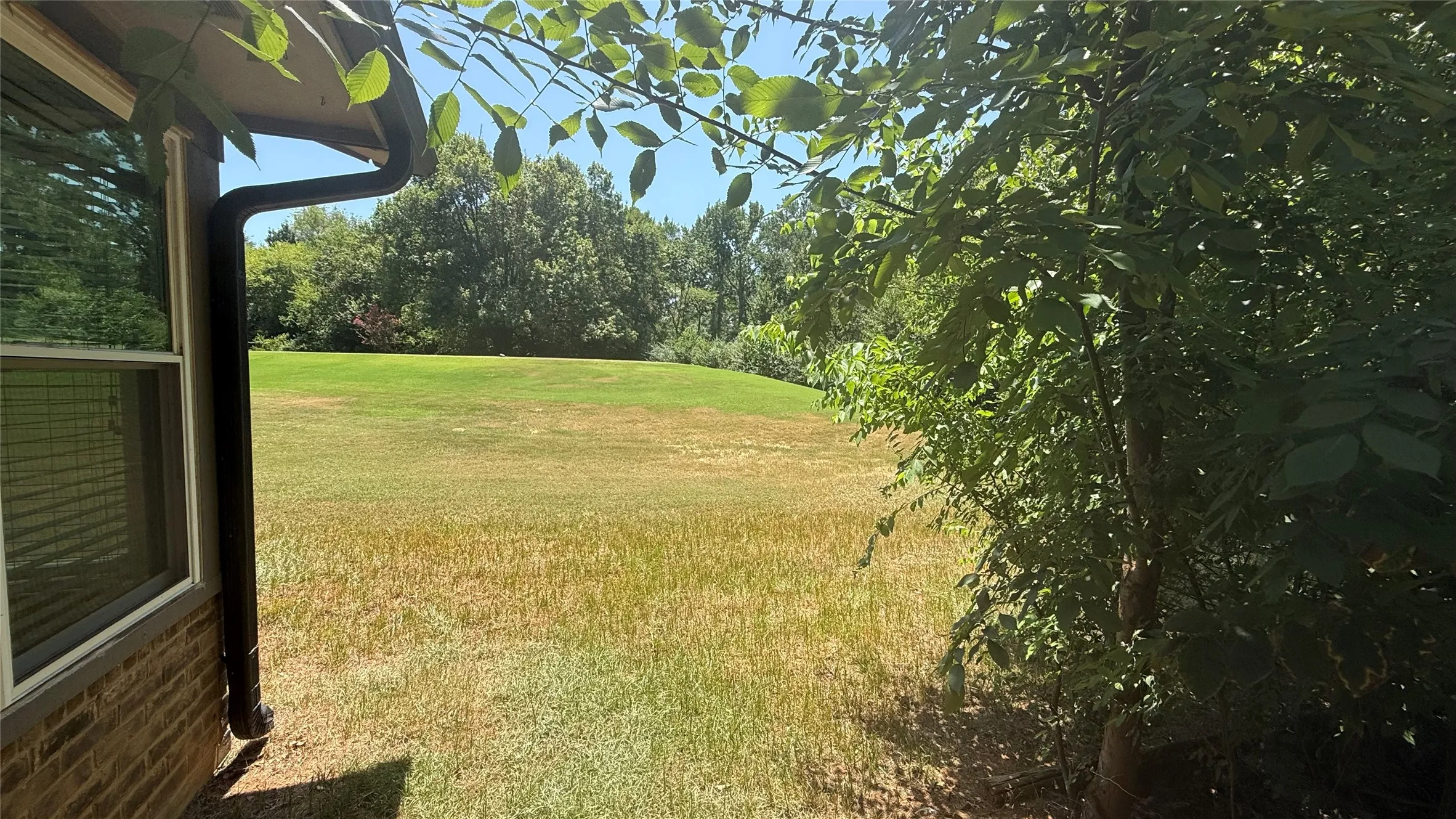 Expansive rear yard featuring a large grassy area bordered by mature trees