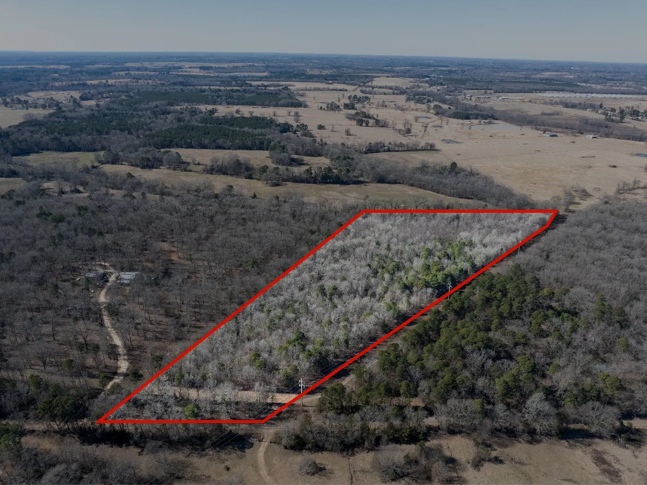 Improved Land For Sale in Camp County , TBD County Road 4246, Pittsburg, Texas 75686, 0, 0, Garage spaces, 0 Sqft, built in 0, Price $163,000, mls#21349467, Real Estate Agent in Pittsburg, Homes For Sale in Camp county, Homes For Sale in Pittsburg, Realtor in Pittsburg Texas, Real Estate Brokerage Independent Realty Texas, Luminita Cordes Realtor