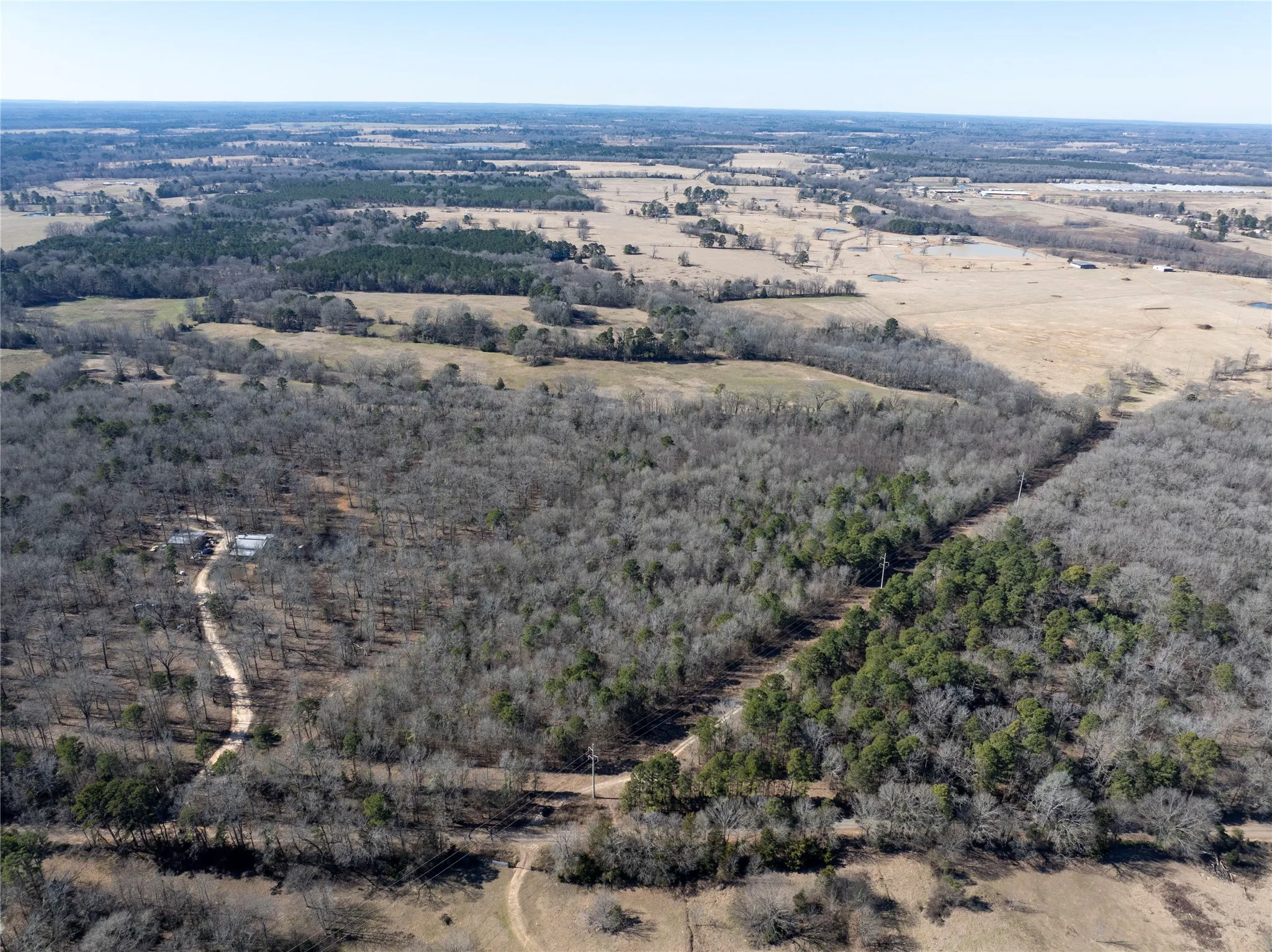 Improved Land For Sale in Camp County , TBD County Road 4246, Pittsburg, Texas 75686, 0, 0, Garage spaces, 0 Sqft, built in 0, Price $163,000, mls#21349467, Real Estate Agent in Pittsburg, Homes For Sale in Camp county, Homes For Sale in Pittsburg, Realtor in Pittsburg Texas, Real Estate Brokerage Independent Realty Texas, Luminita Cordes Realtor