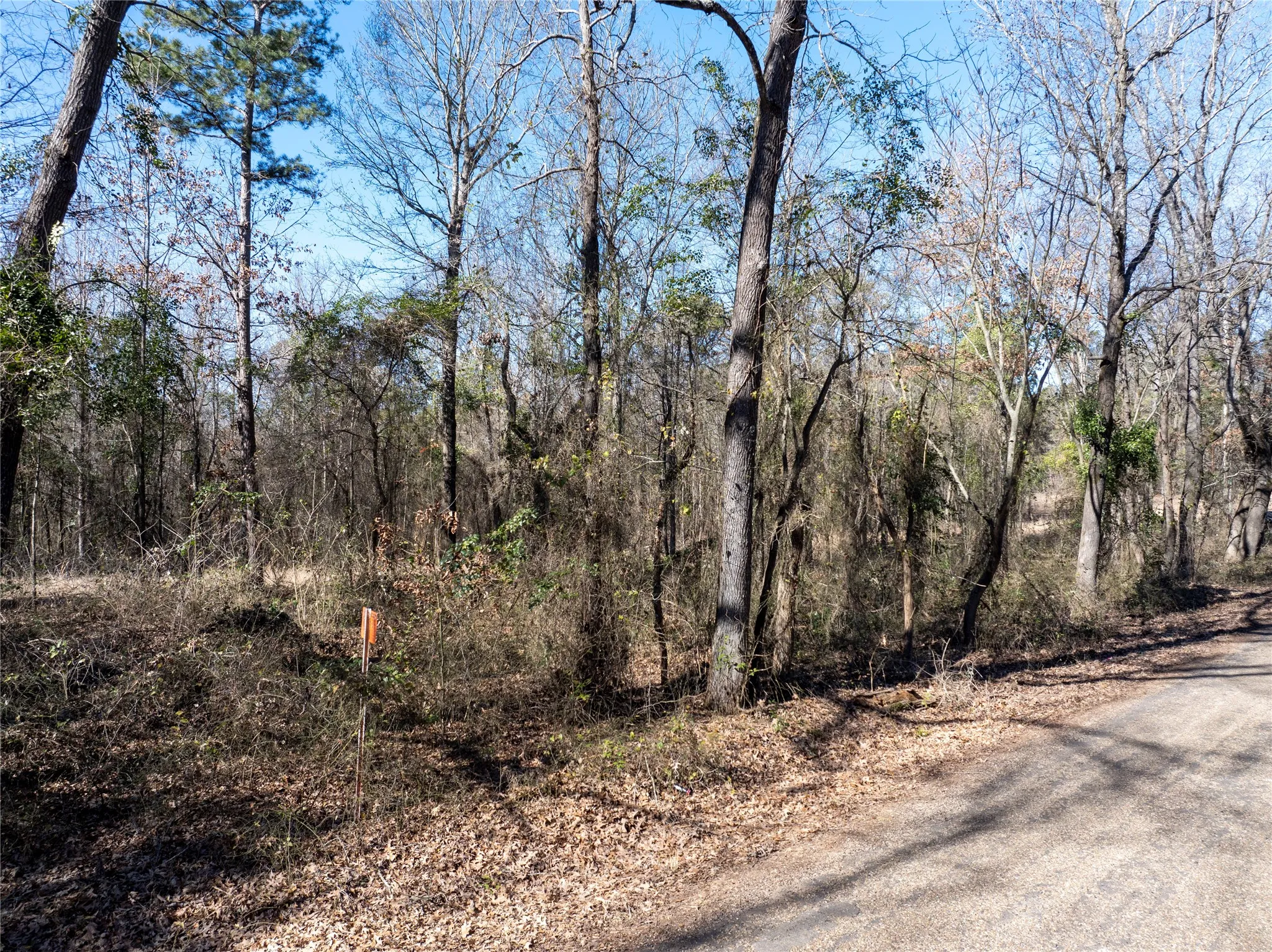 Improved Land For Sale in Camp County , TBD County Road 4246, Pittsburg, Texas 75686, 0, 0, Garage spaces, 0 Sqft, built in 0, Price $163,000, mls#21349467, Real Estate Agent in Pittsburg, Homes For Sale in Camp county, Homes For Sale in Pittsburg, Realtor in Pittsburg Texas, Real Estate Brokerage Independent Realty Texas, Luminita Cordes Realtor