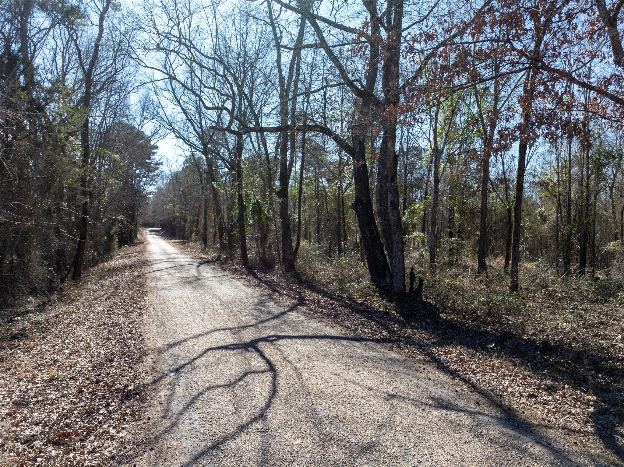 Improved Land For Sale in Camp County , TBD County Road 4246, Pittsburg, Texas 75686, 0, 0, Garage spaces, 0 Sqft, built in 0, Price $163,000, mls#21349467, Real Estate Agent in Pittsburg, Homes For Sale in Camp county, Homes For Sale in Pittsburg, Realtor in Pittsburg Texas, Real Estate Brokerage Independent Realty Texas, Luminita Cordes Realtor