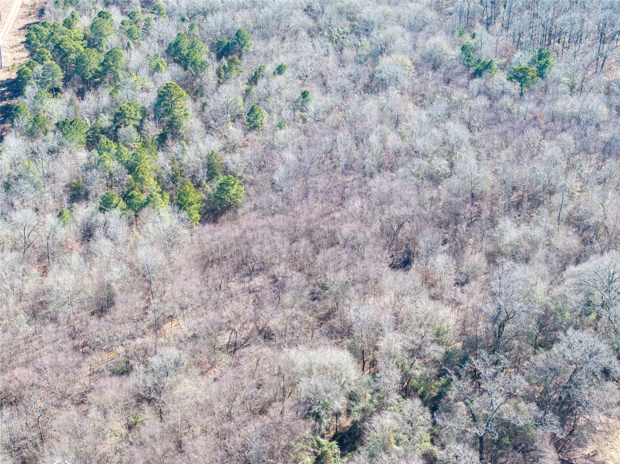 Improved Land For Sale in Camp County , TBD County Road 4246, Pittsburg, Texas 75686, 0, 0, Garage spaces, 0 Sqft, built in 0, Price $163,000, mls#21349467, Real Estate Agent in Pittsburg, Homes For Sale in Camp county, Homes For Sale in Pittsburg, Realtor in Pittsburg Texas, Real Estate Brokerage Independent Realty Texas, Luminita Cordes Realtor