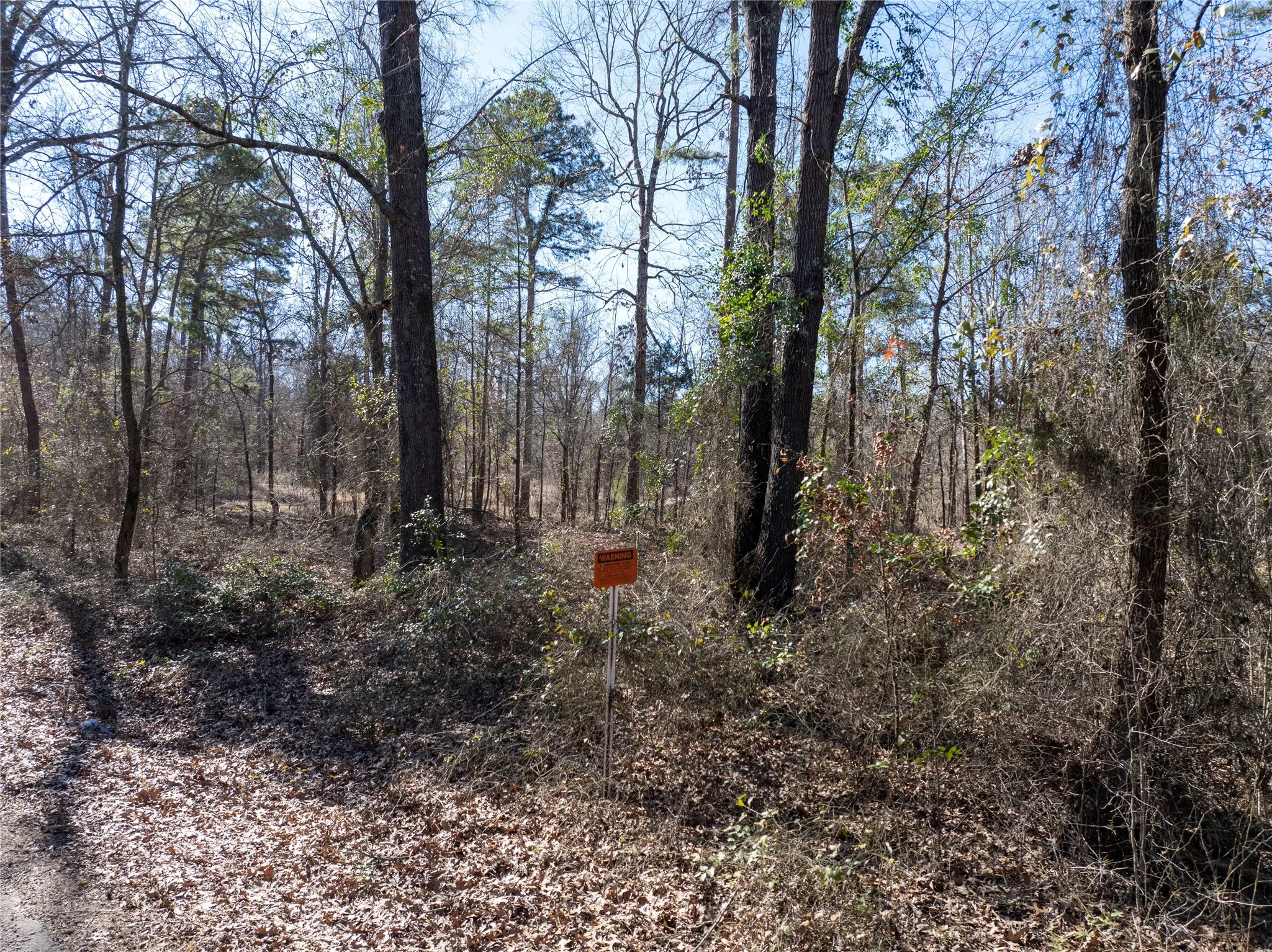 Improved Land For Sale in Camp County , TBD County Road 4246, Pittsburg, Texas 75686, 0, 0, Garage spaces, 0 Sqft, built in 0, Price $163,000, mls#21349467, Real Estate Agent in Pittsburg, Homes For Sale in Camp county, Homes For Sale in Pittsburg, Realtor in Pittsburg Texas, Real Estate Brokerage Independent Realty Texas, Luminita Cordes Realtor